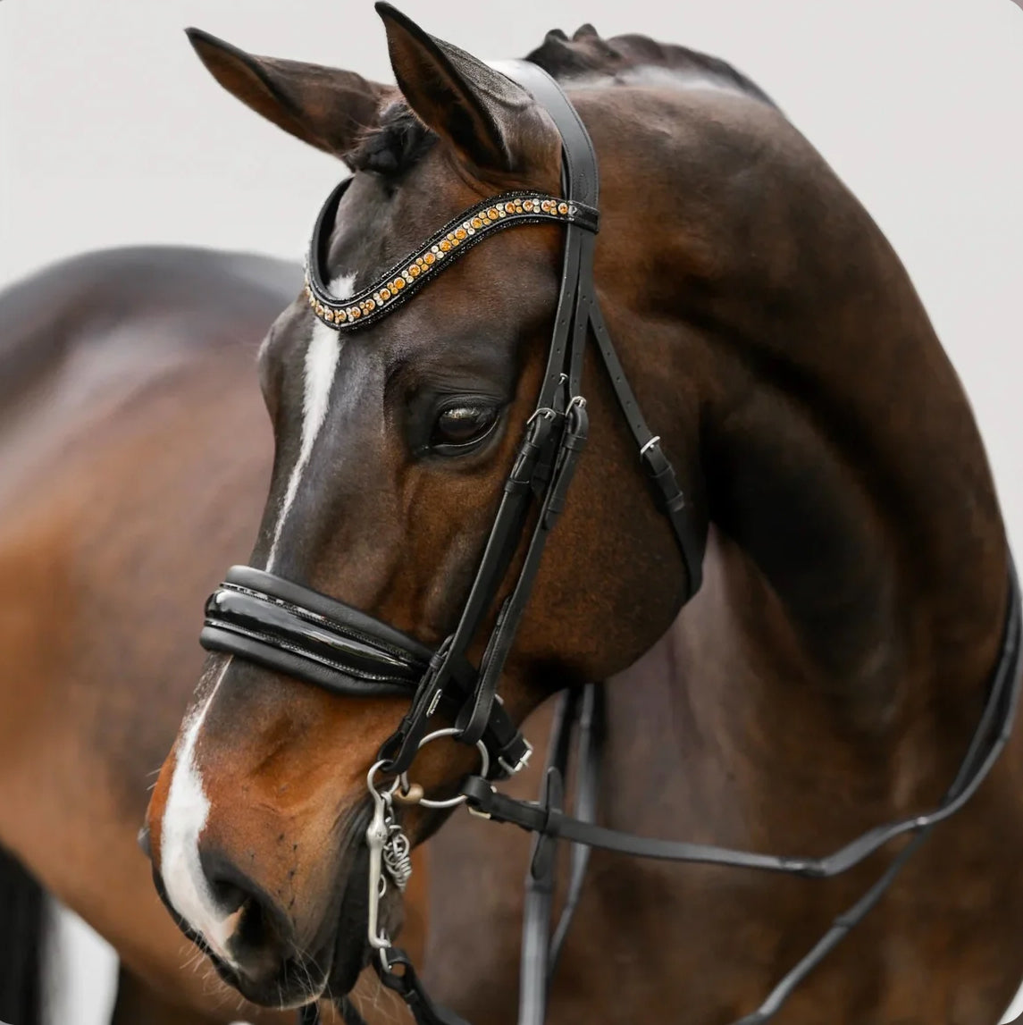 Bridles
