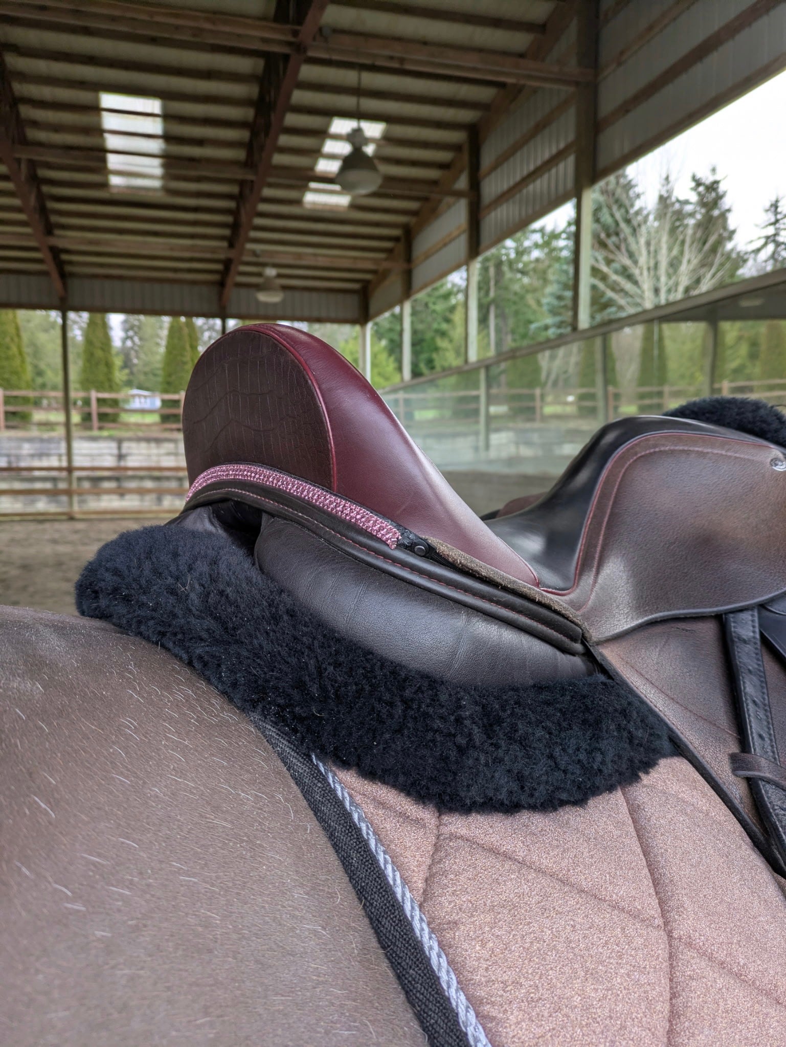 Pink Saddle Bling