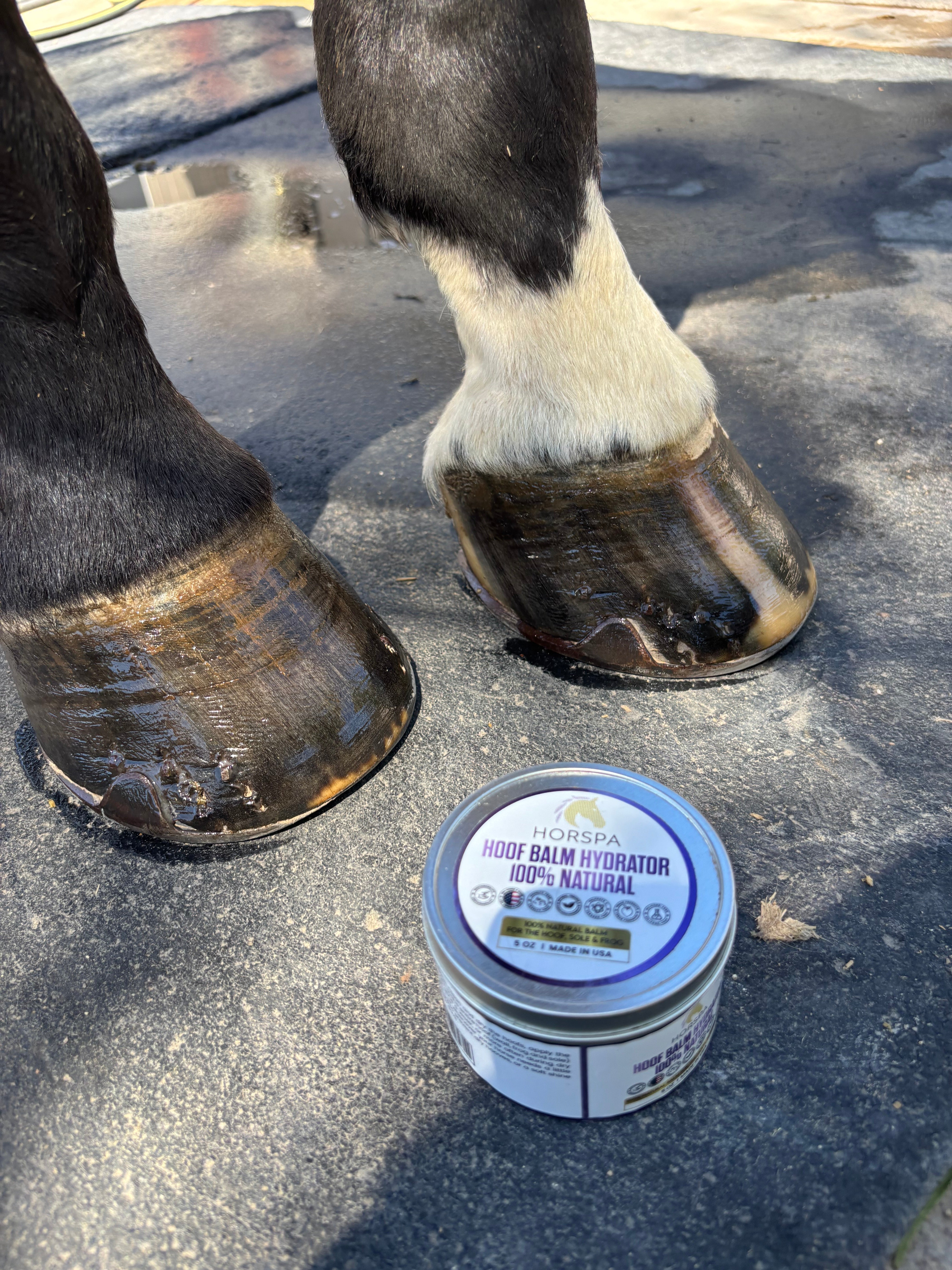 Hoof Balm Hydrator 100% Natural with Brush Applicator 5 oz