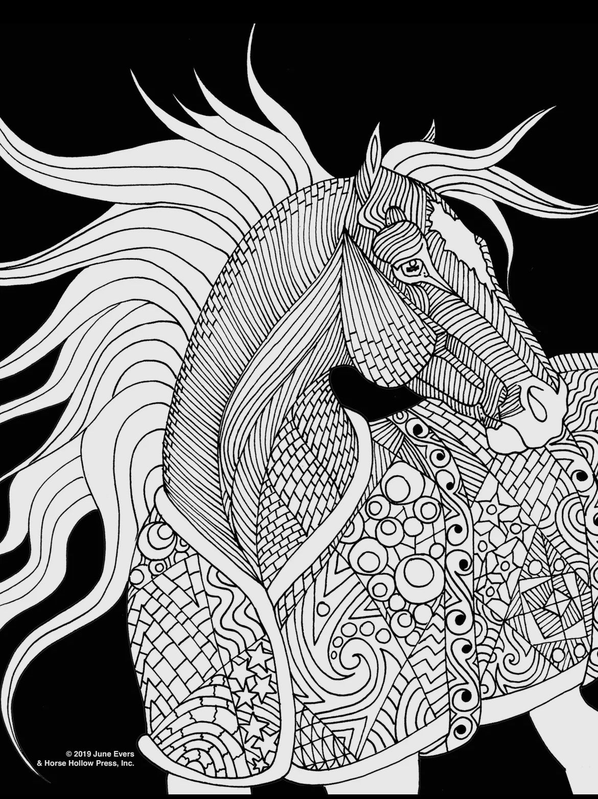 Pretty Horses Art Coloring Poster Kit