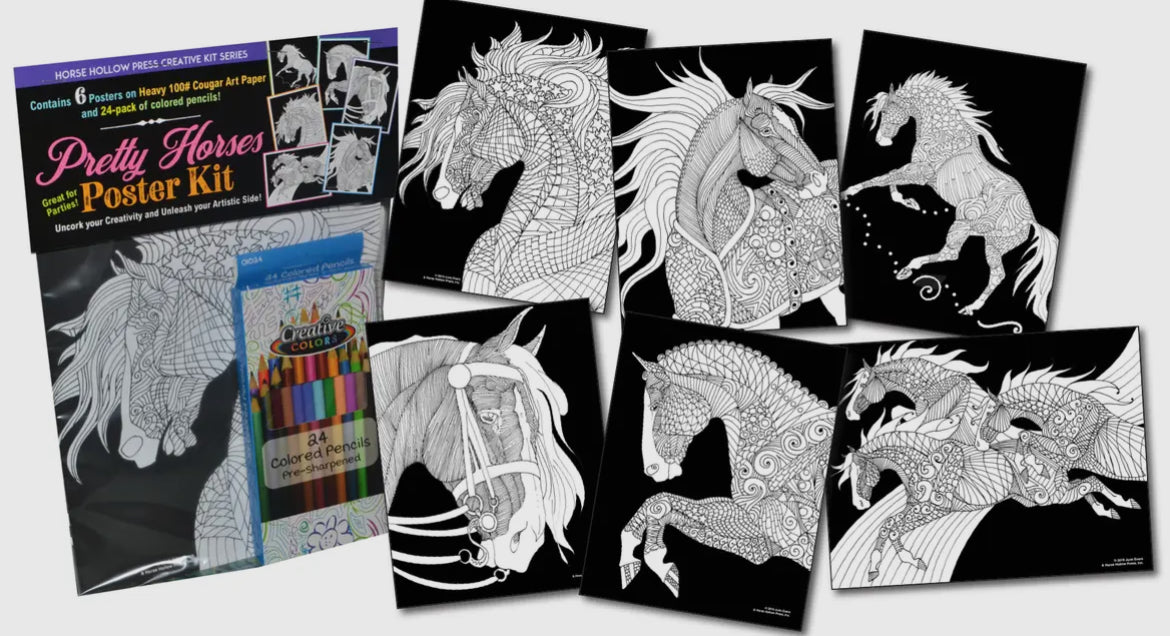 Pretty Horses Art Coloring Poster Kit