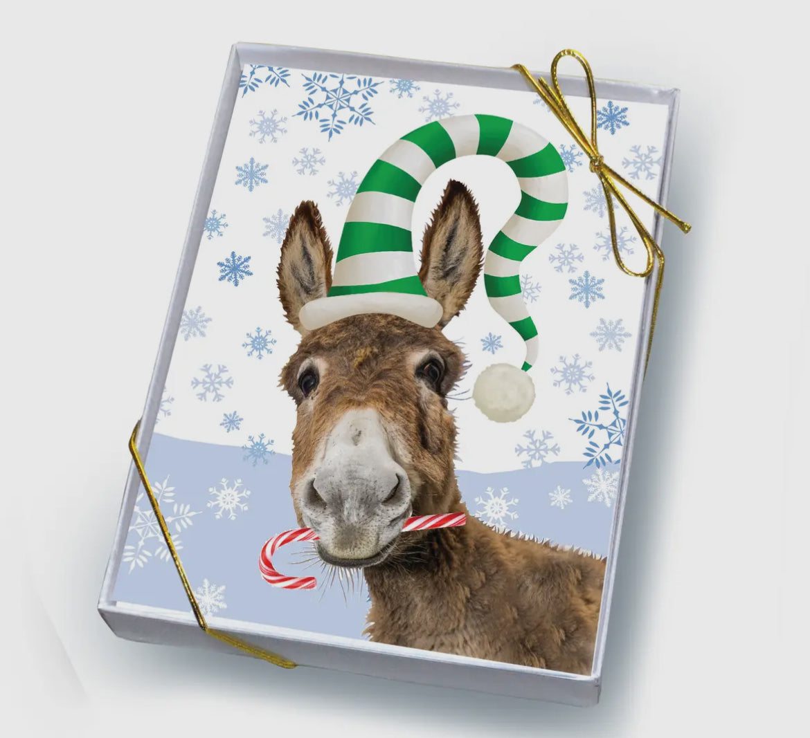 Donkey & Candy Cane Holiday Boxed Cards