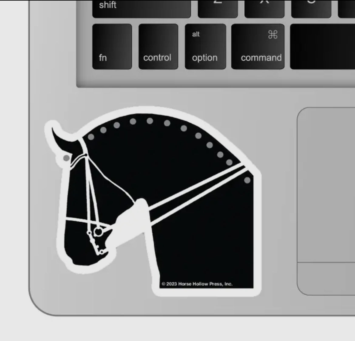 Dressage Horse Tumbler Sticker