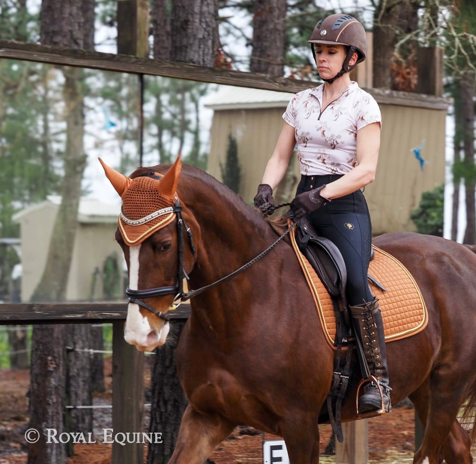 D. D. Impulsion and Straightness ANNE Short Sleeved Training Shirt
