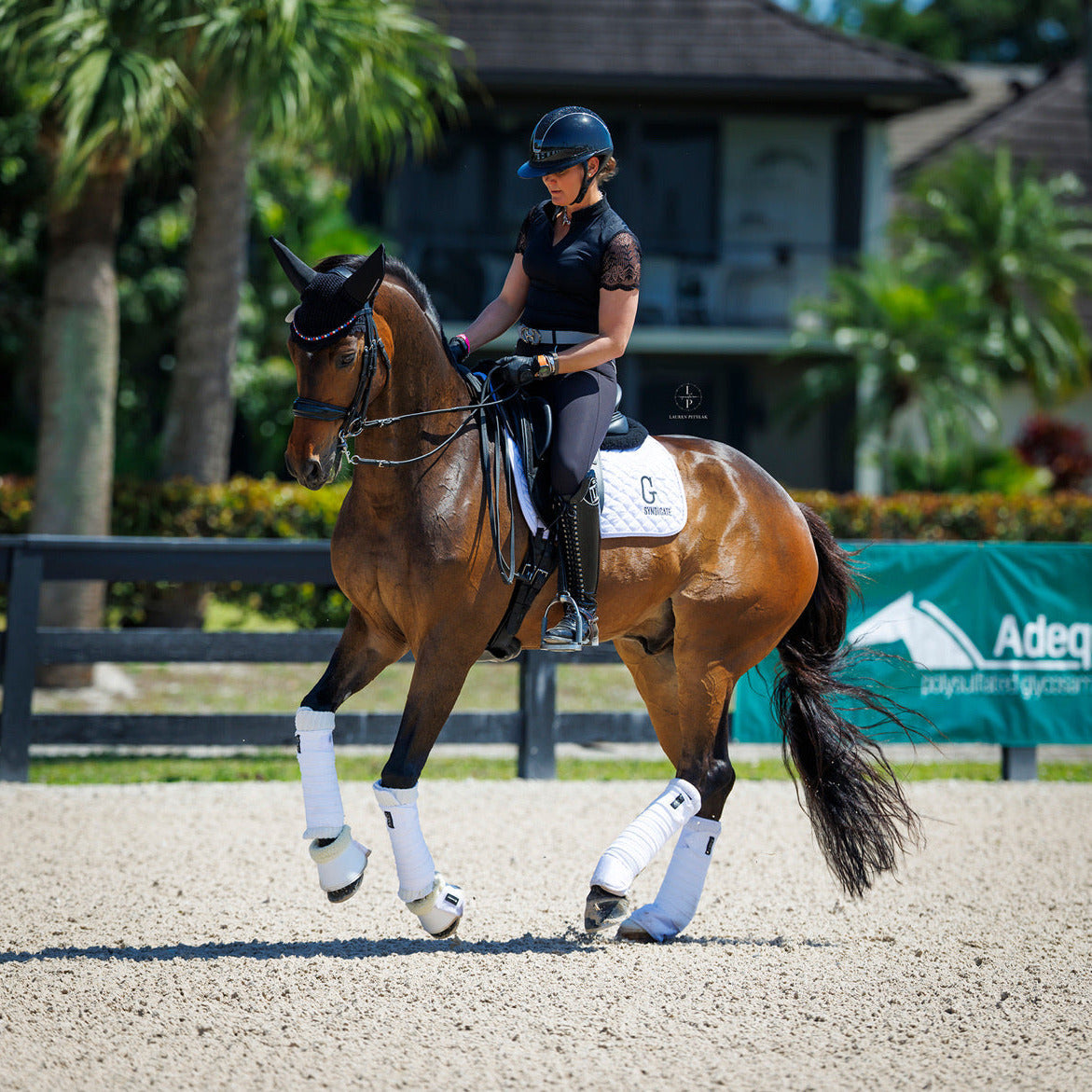 Charlie Short Sleeve Lace Riding Shirt - Black