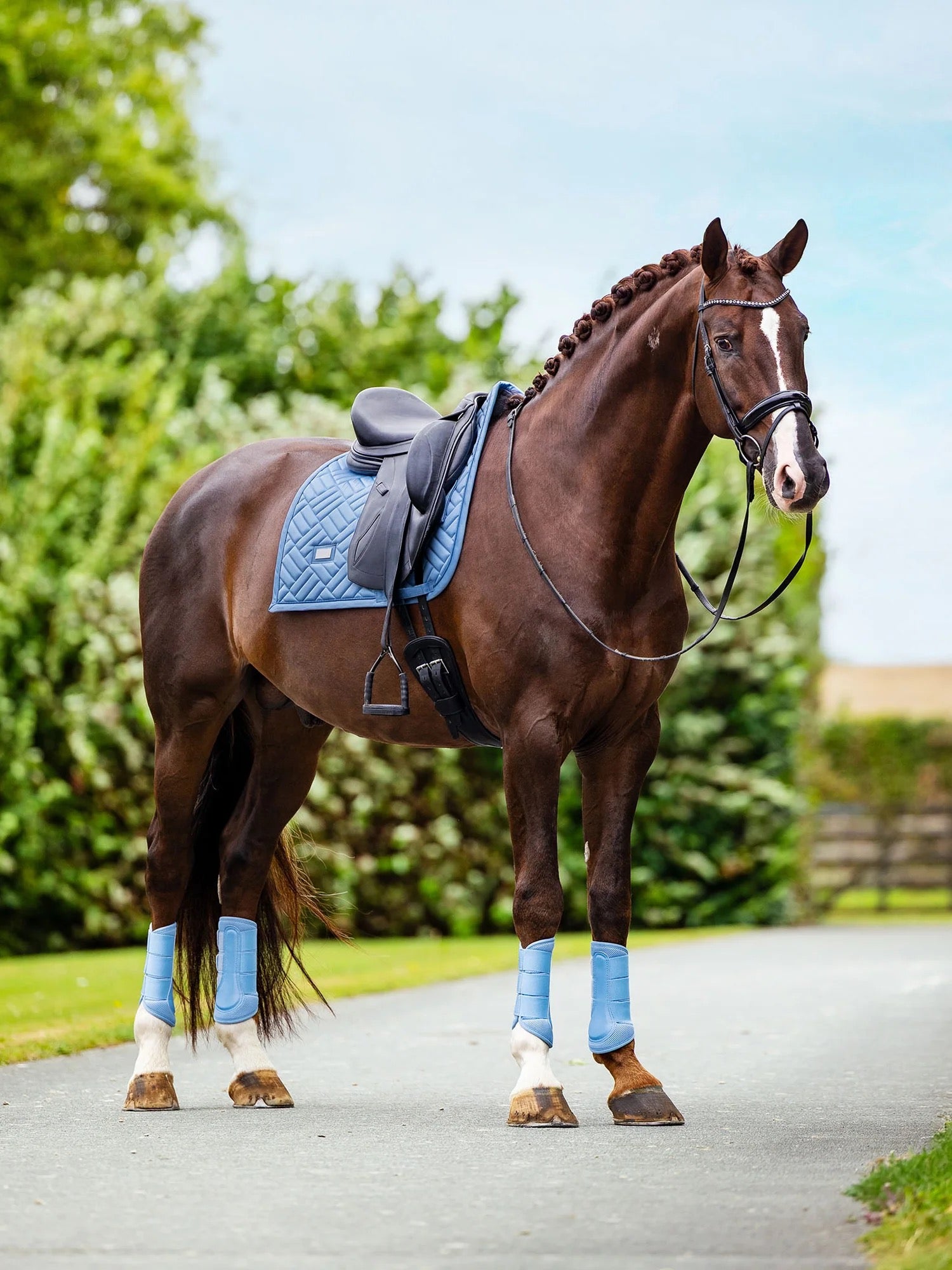 Equestrian Stockholm Pad - Midsummer Blue