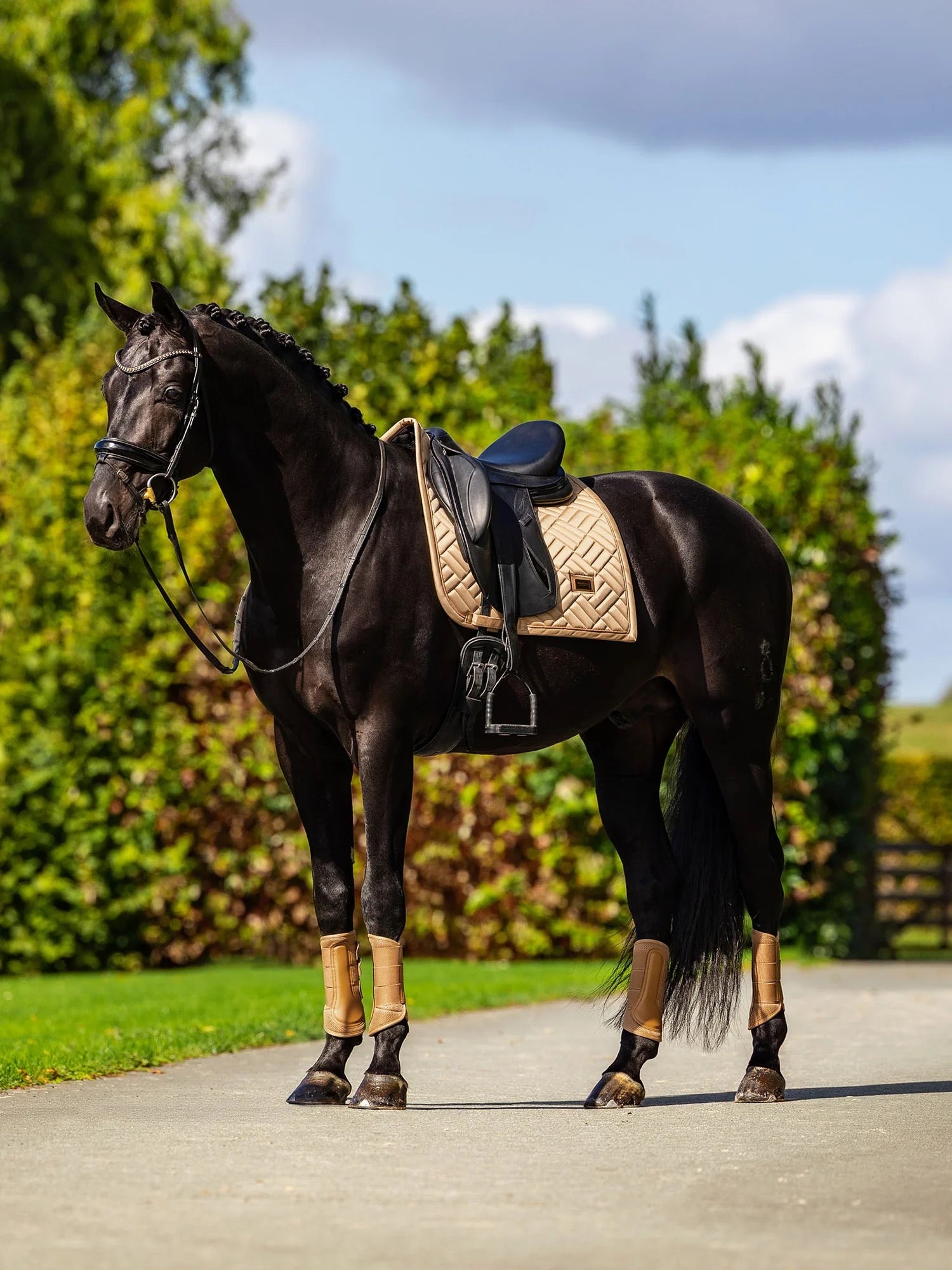 Equestrian Stockholm Pad - Midsummer Glow