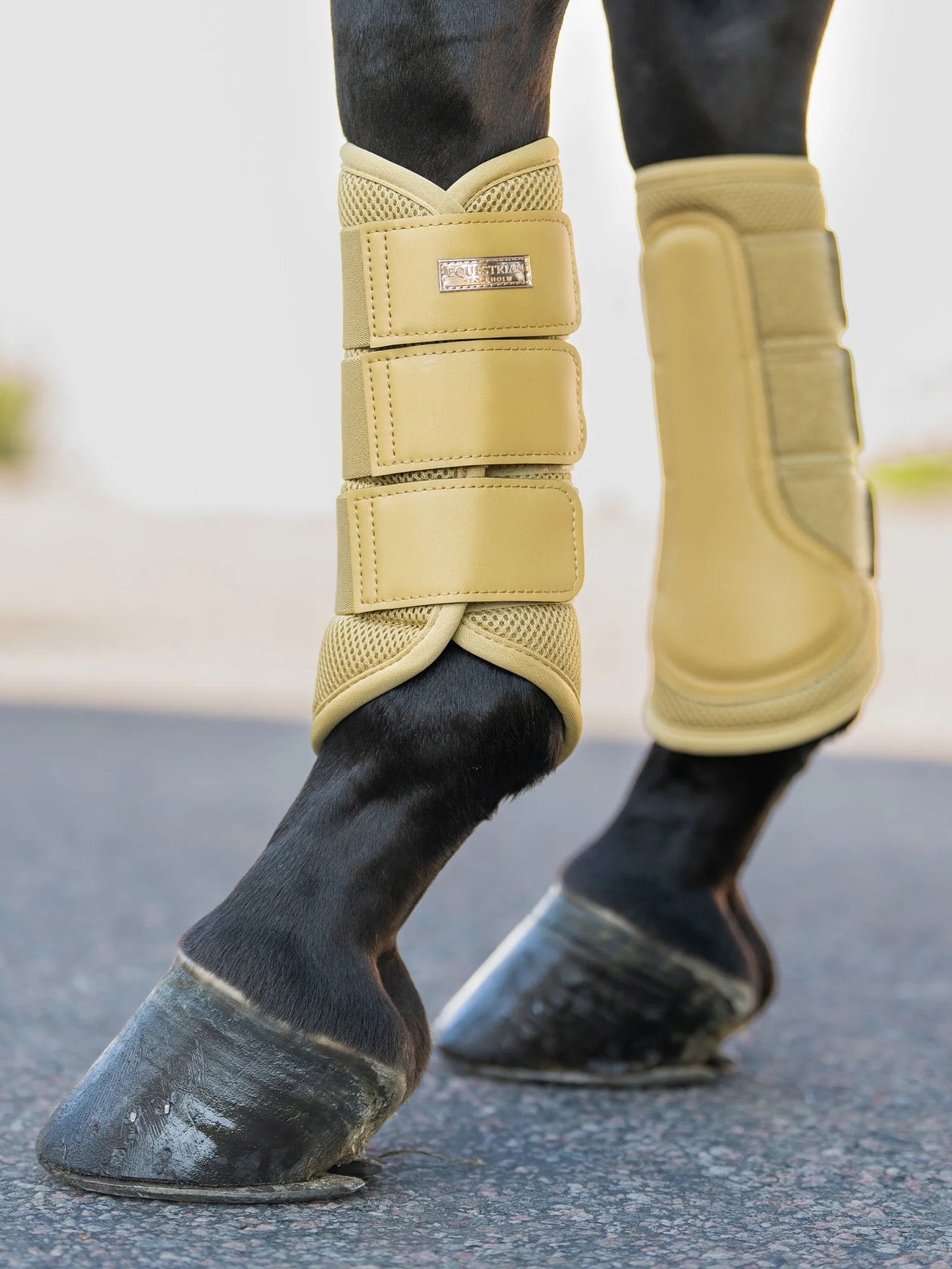 Equestrian Stockholm Mesh Brushing Boots - Midsummer Glow