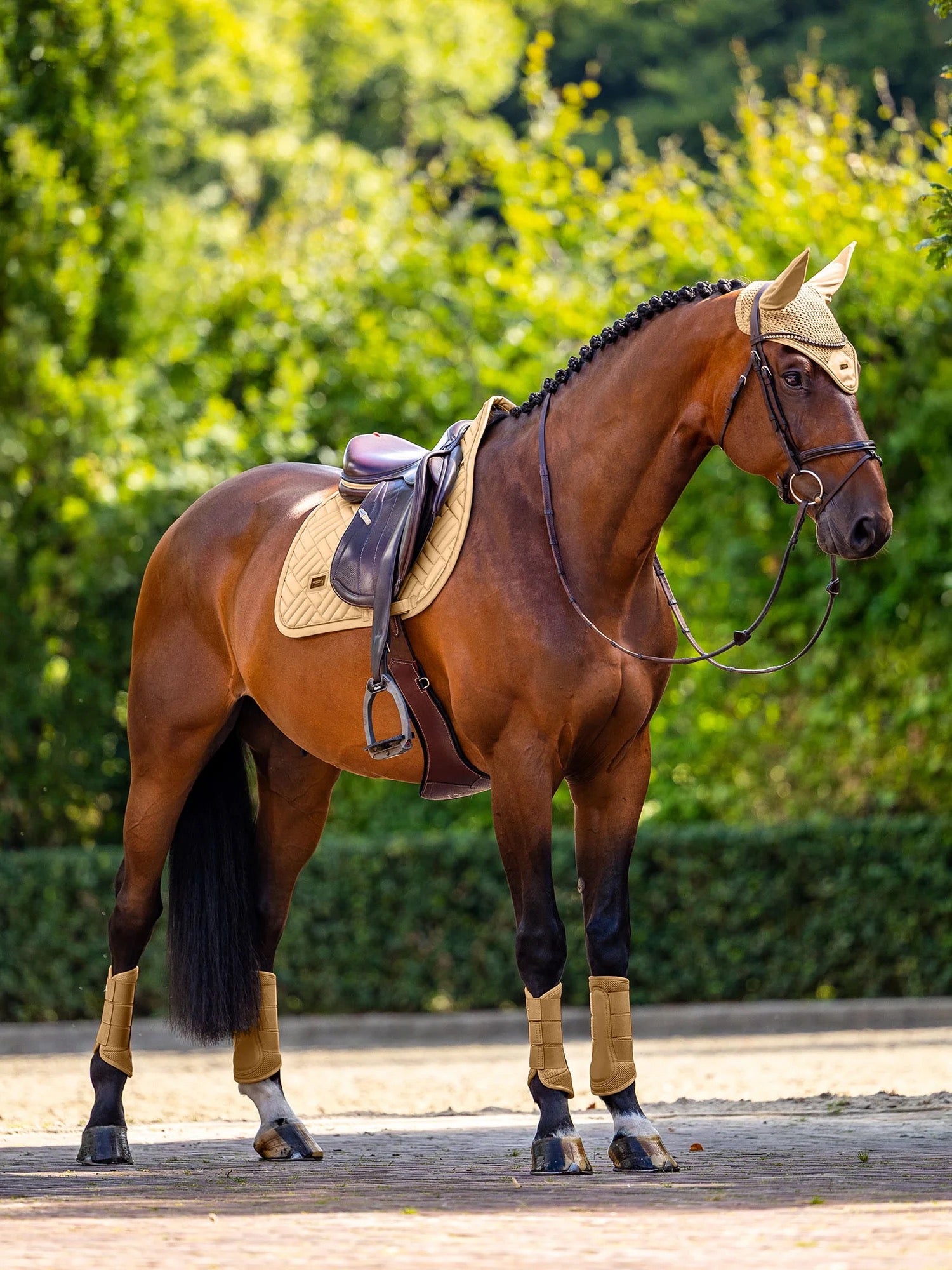 Equestrian Stockholm Mesh Brushing Boots - Midsummer Glow