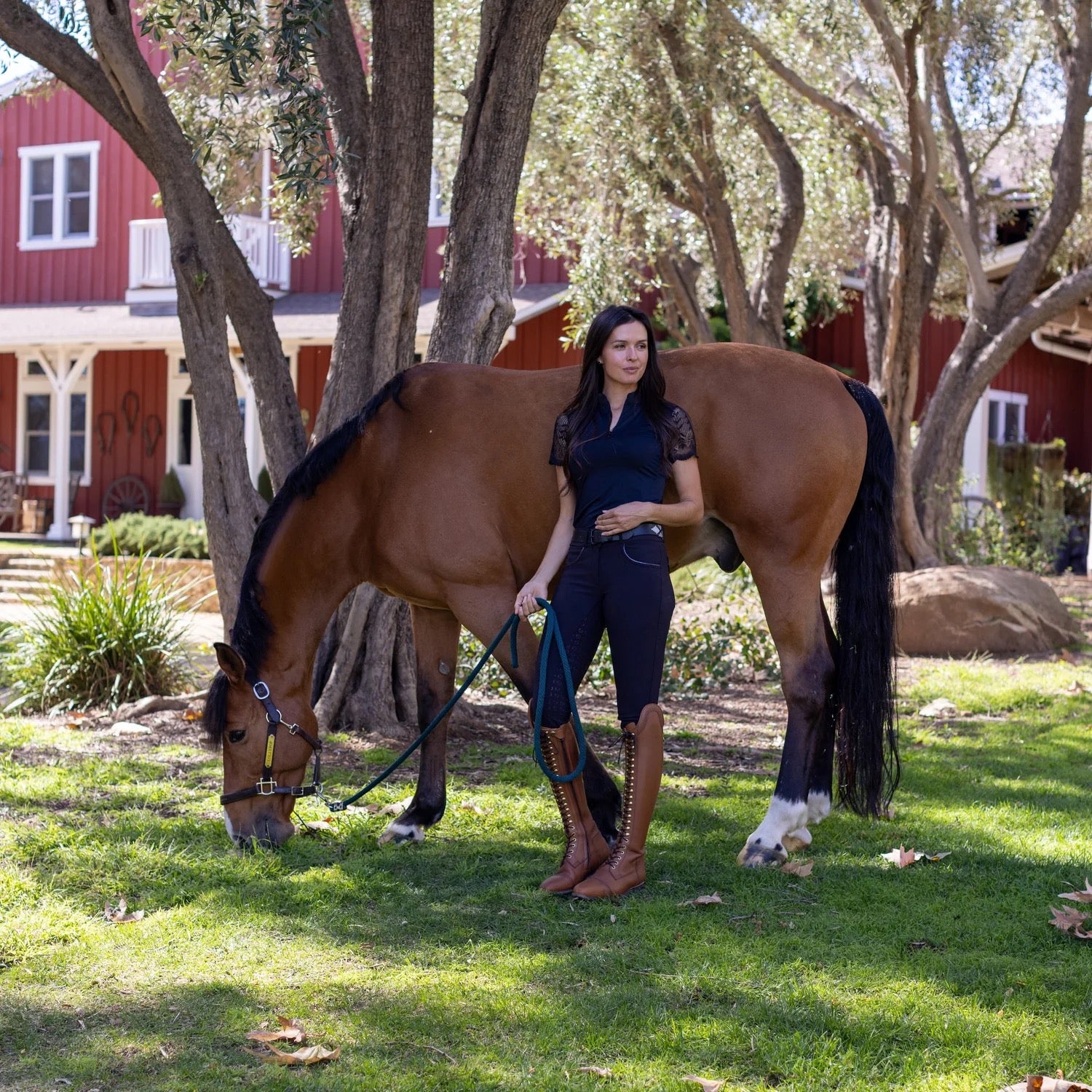 Halter Ego Evolution Mystique Breeches - Smokey Black