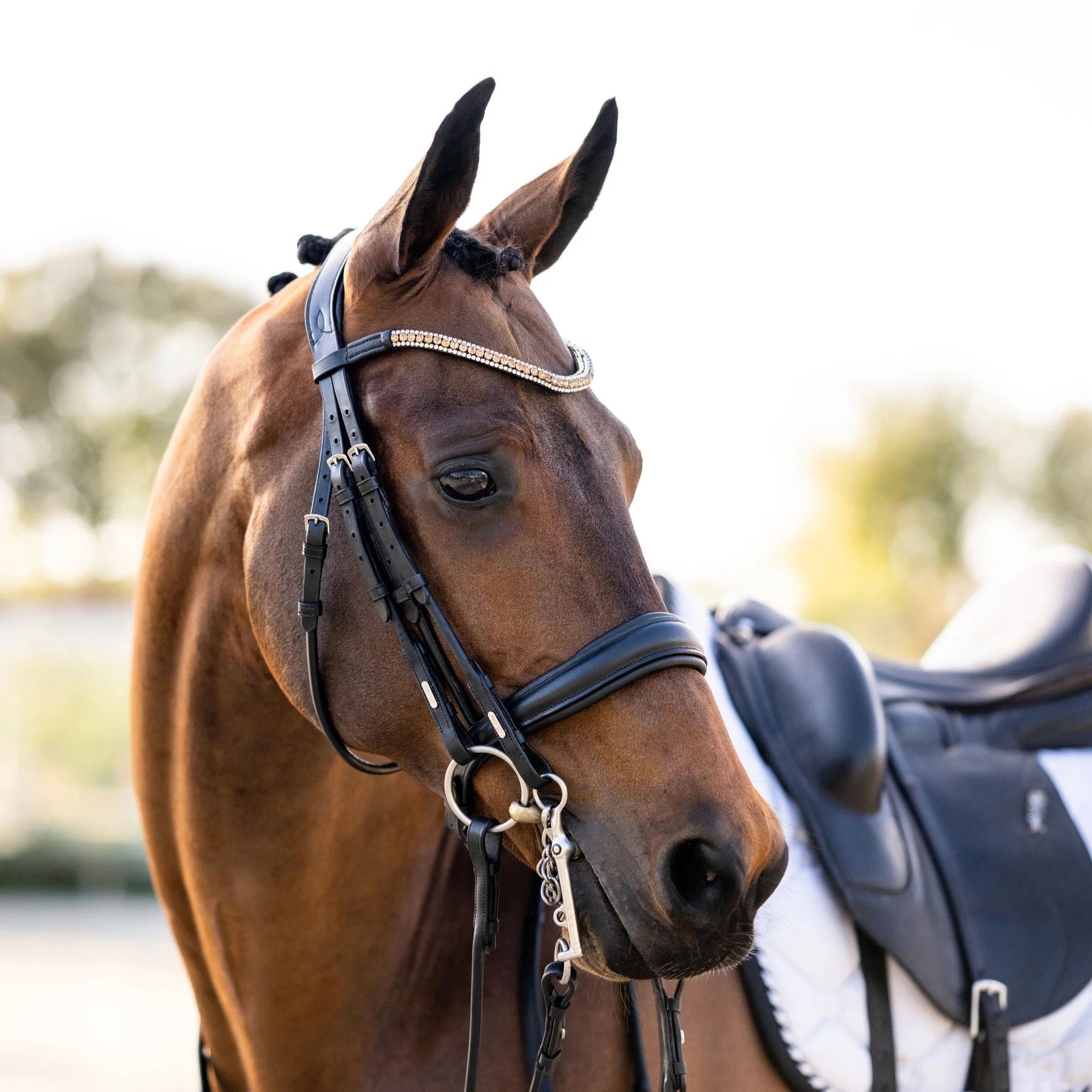 Lumiere Madeline Double Bridle - Cob