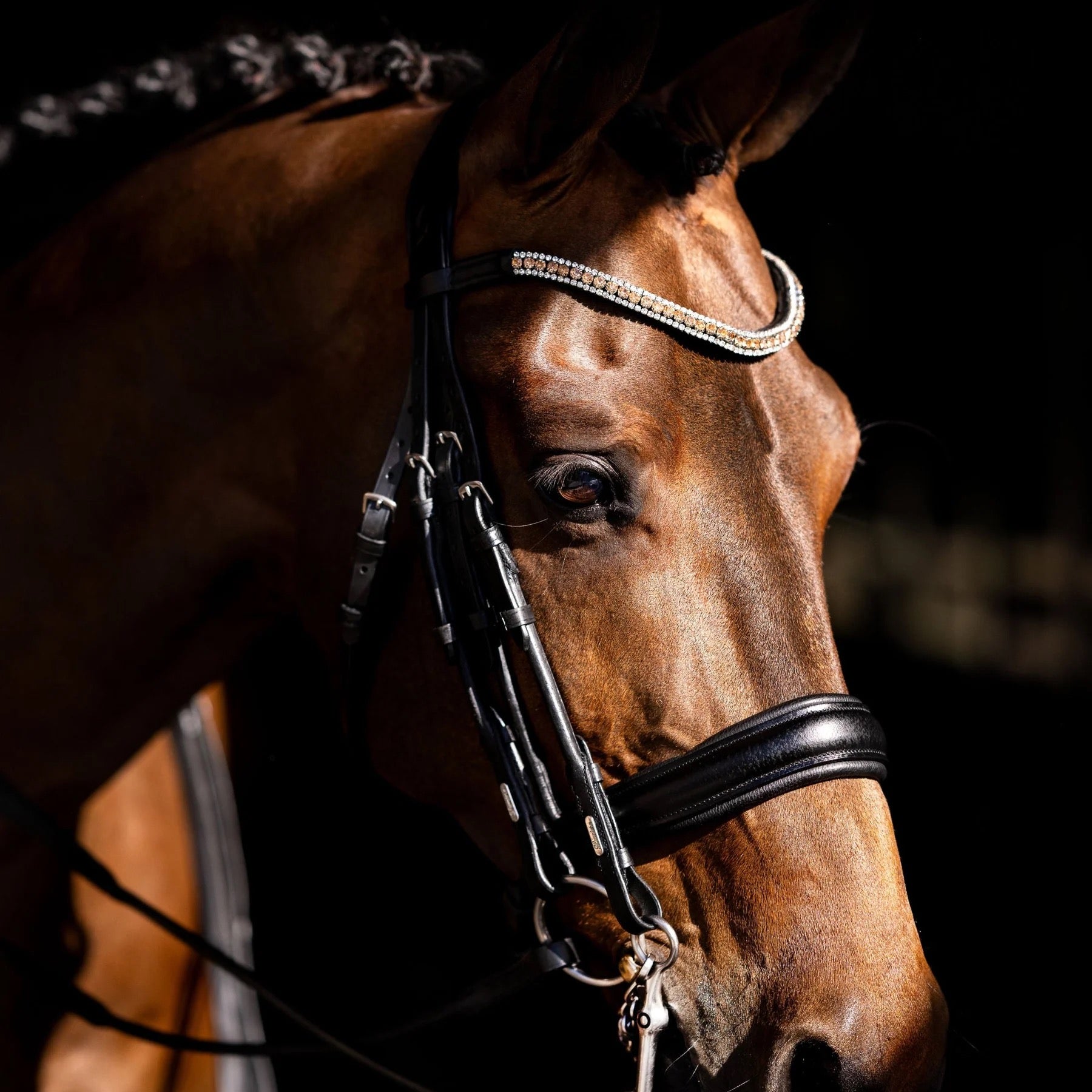 Lumiere Madeline Double Bridle - Cob