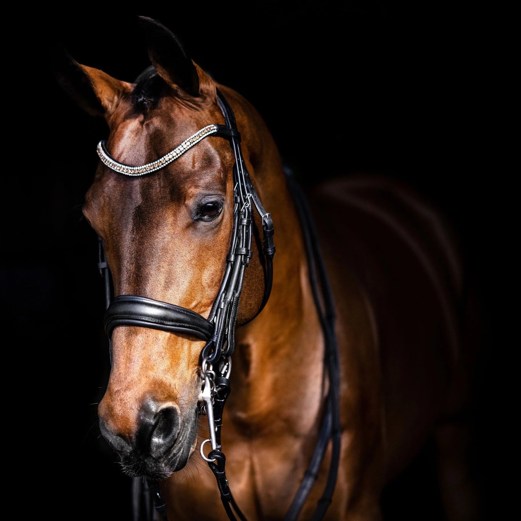 Lumiere Madeline Double Bridle - Cob