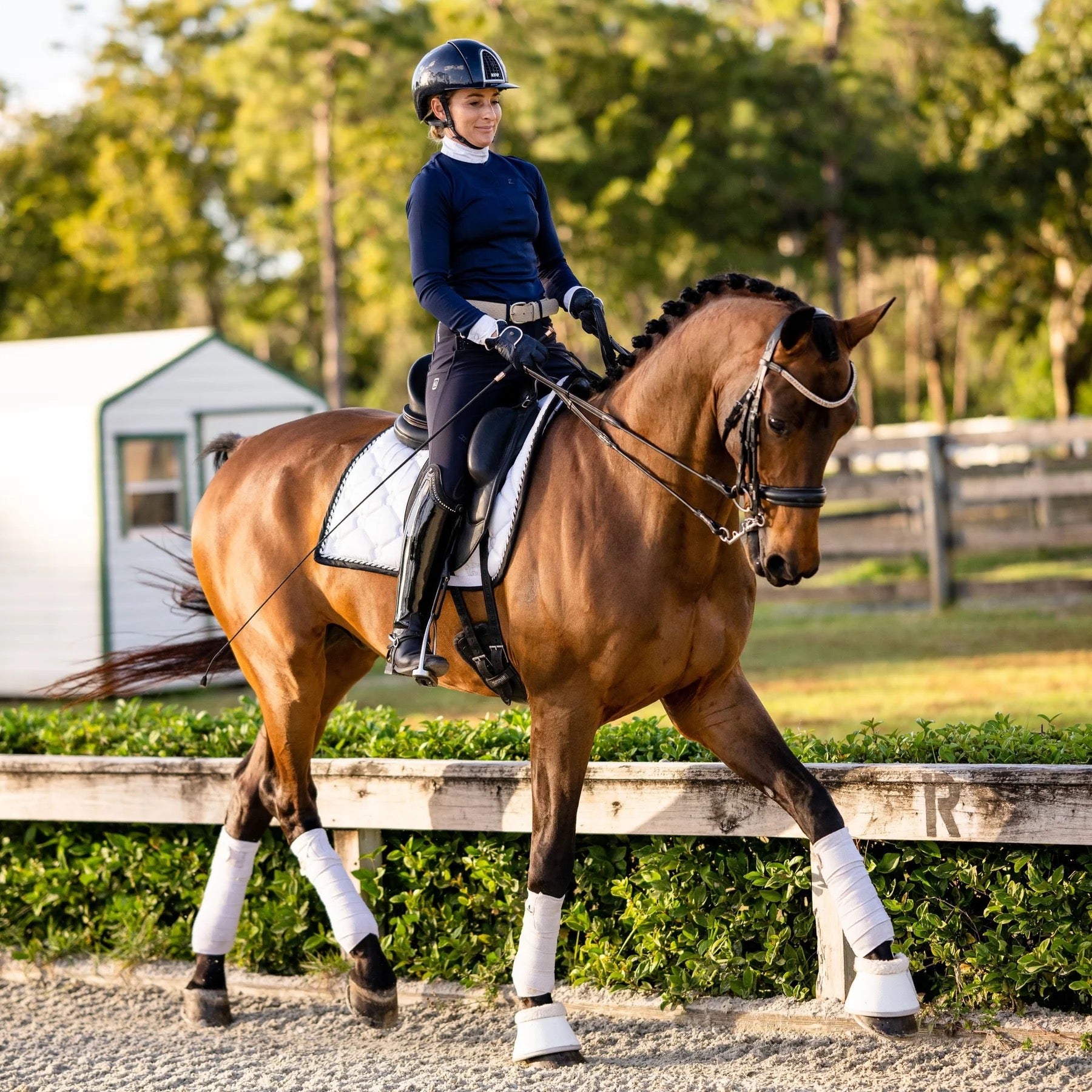 Lumiere Madeline Double Bridle - Cob