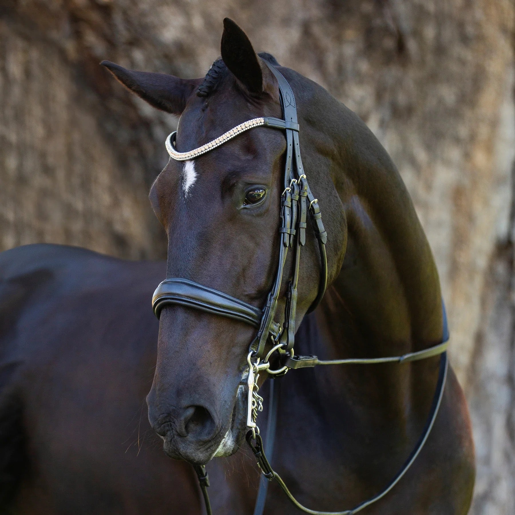 Lumiere Madeline Double Bridle - Cob