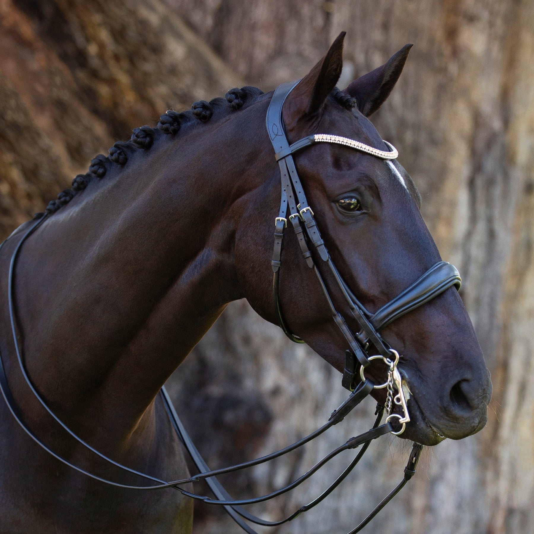 Lumiere Madeline Double Bridle - Cob