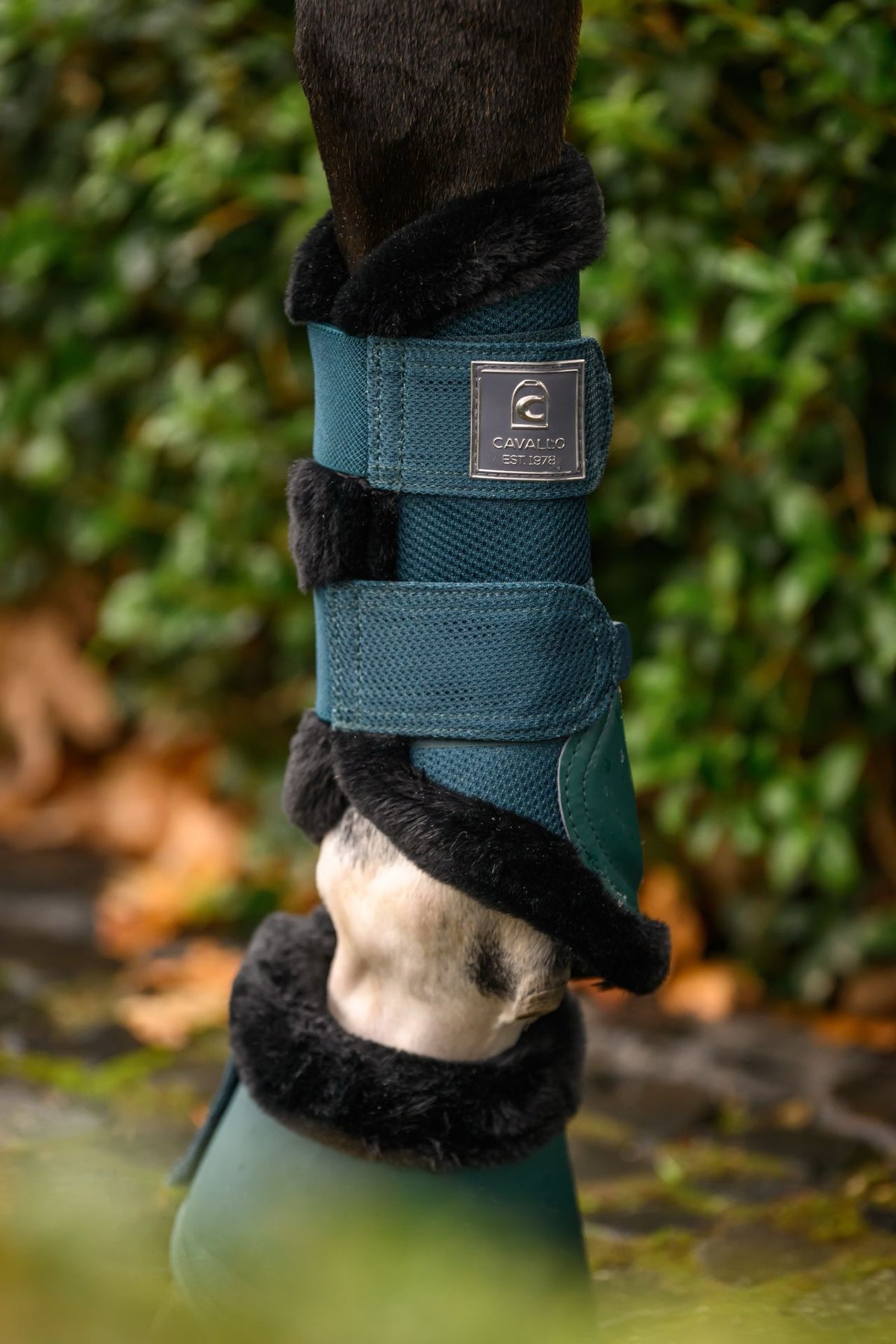 Cavallo CavalJoca Brushing Boots - Dark Peacock