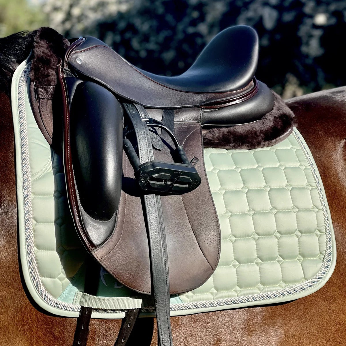 Halter Ego Satin Classic Saddle Pad - Mint Sorbet