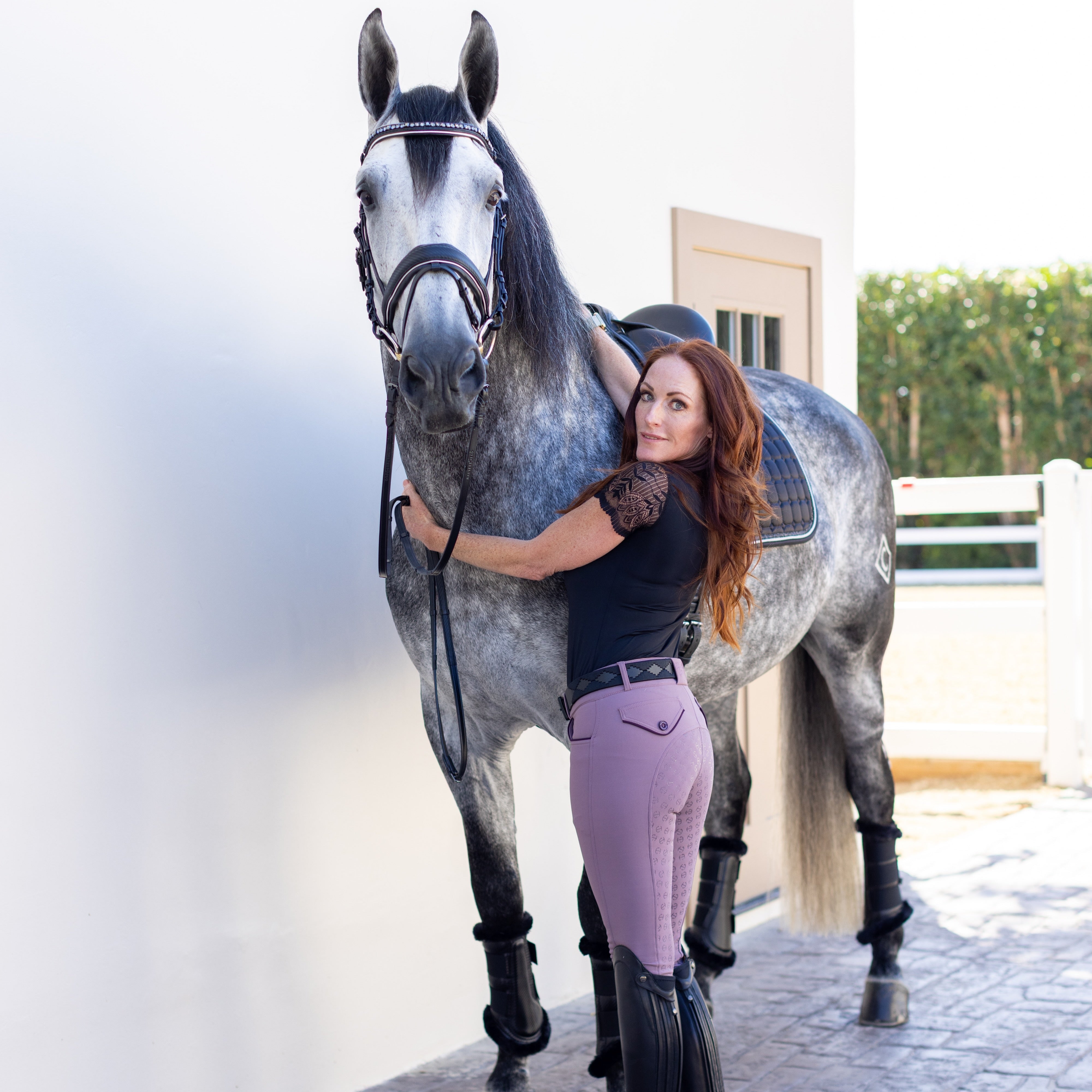Evolution Full Seat Breeches - French Lilac - MID WAIST