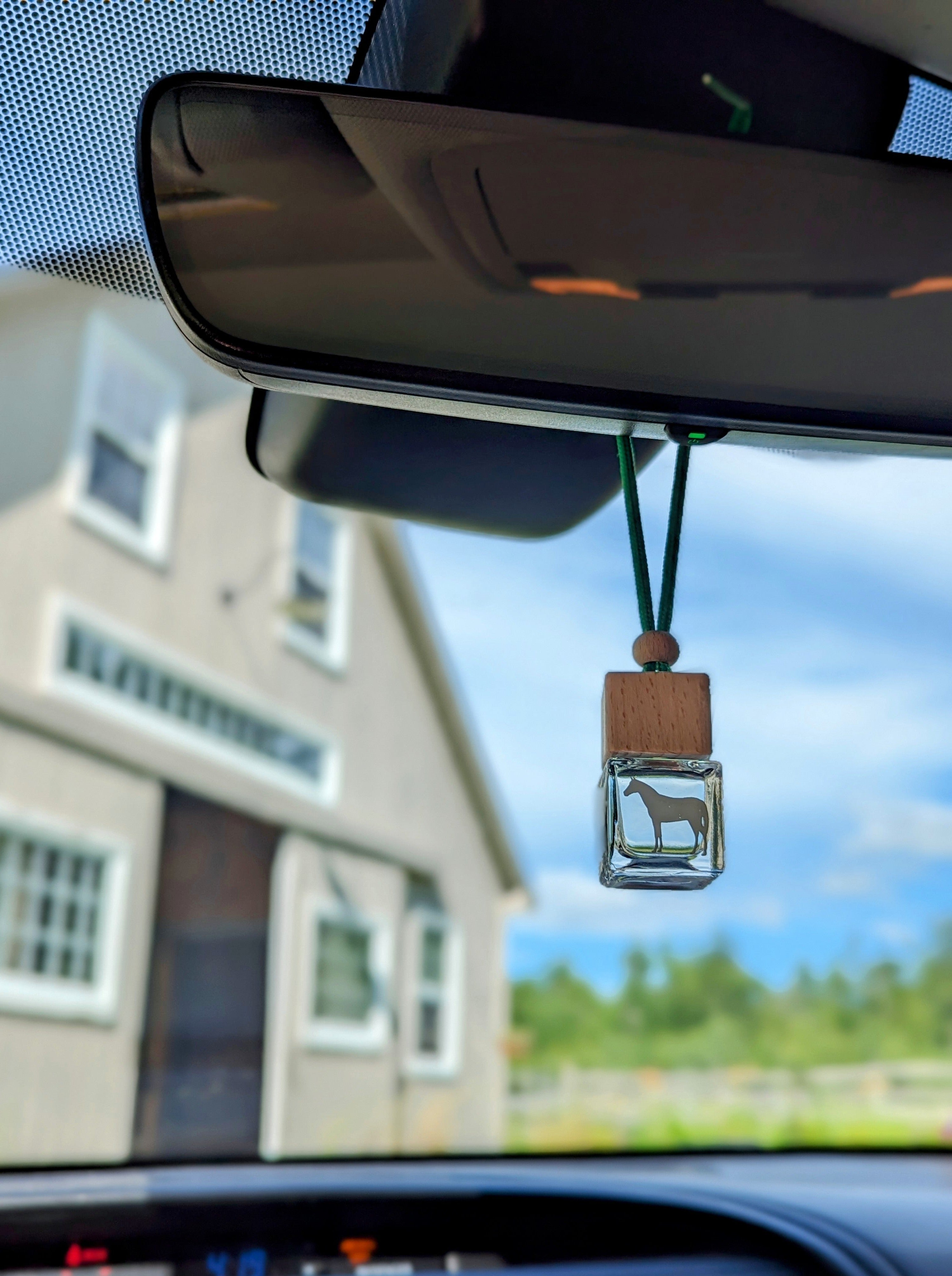 WINTER CIRCUIT - SCENT OF THE MONTH