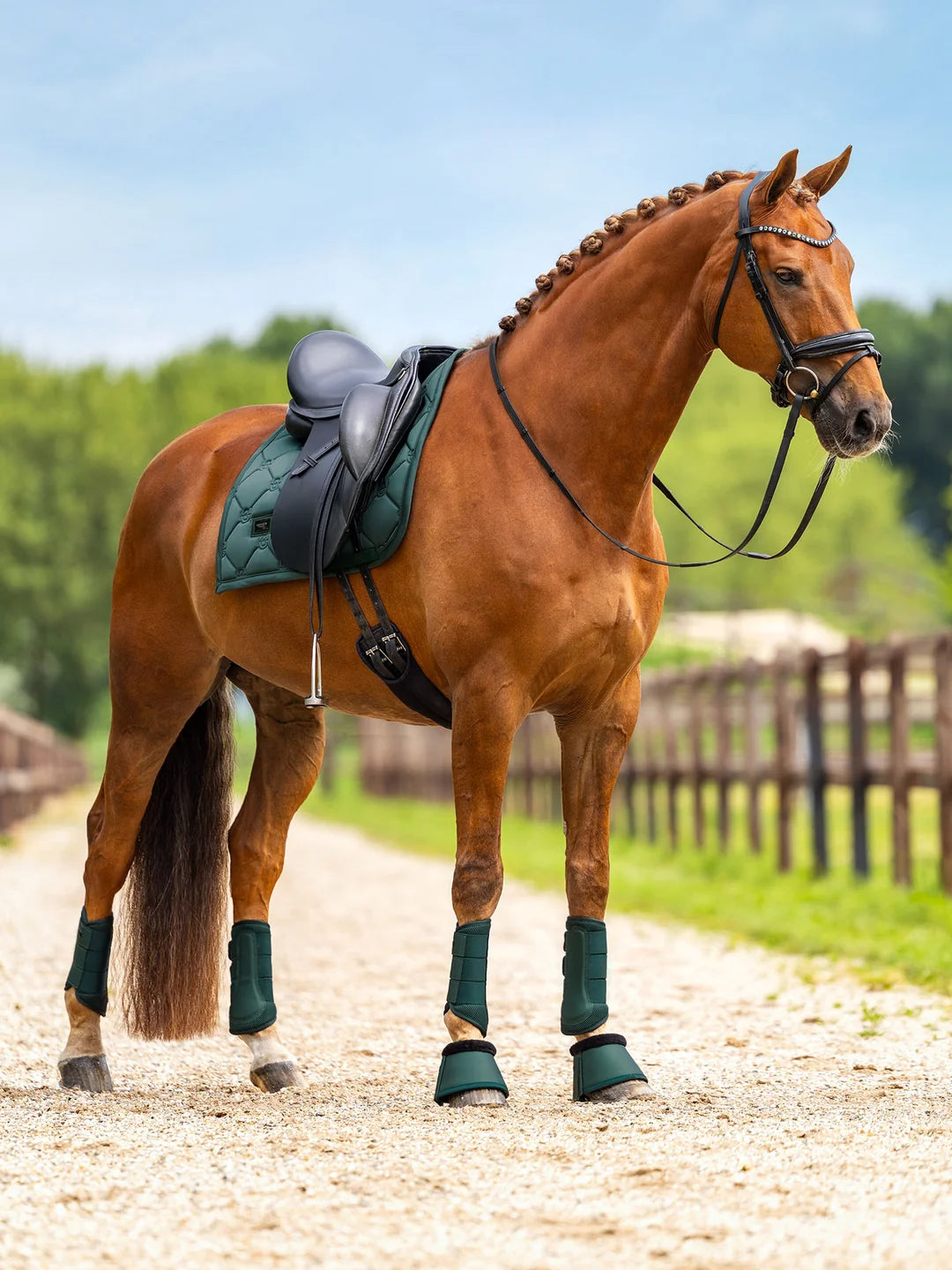 Equestrian Stockholm Velvet Pad - Sycamore Green