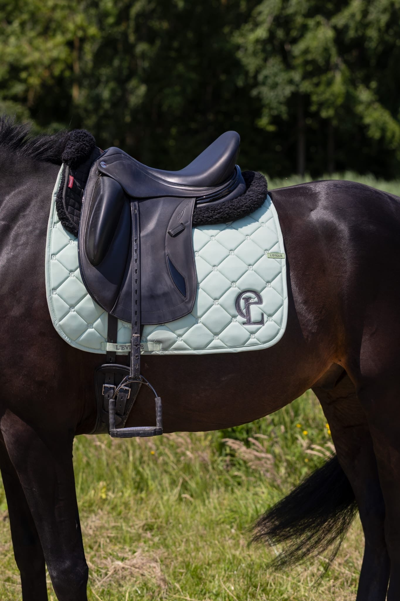 L'Evique Jayda Saddle Pad - Mint Green