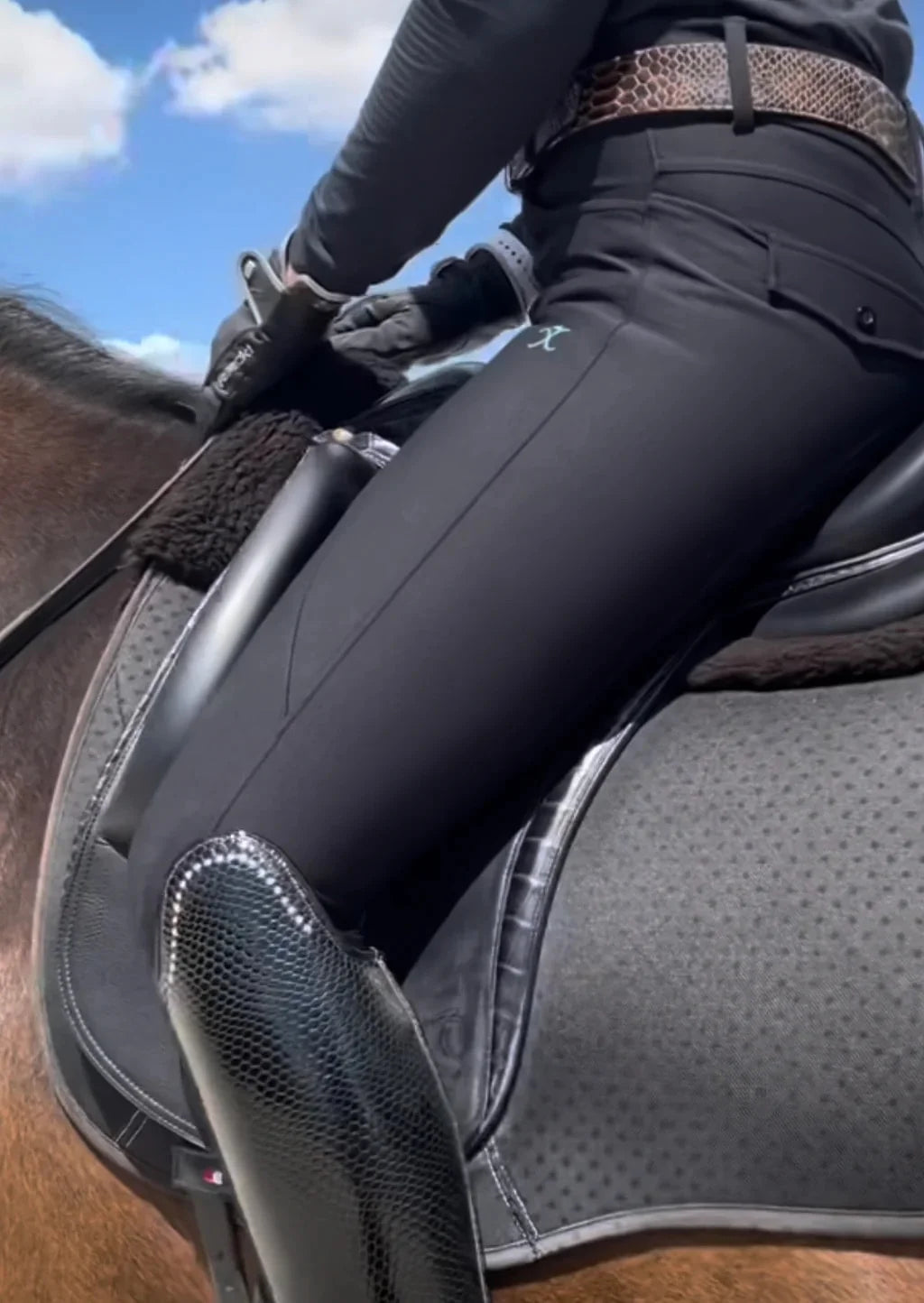 X-Factor Compression Breeches