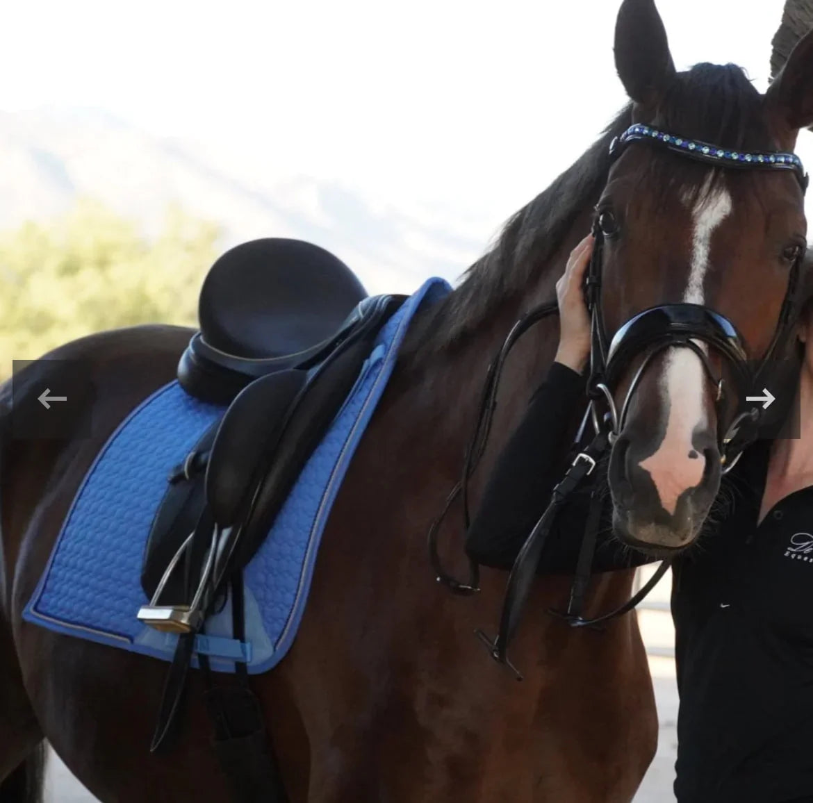 Halter Ego European Cotton Dressage Saddle Pad - Sky Blue