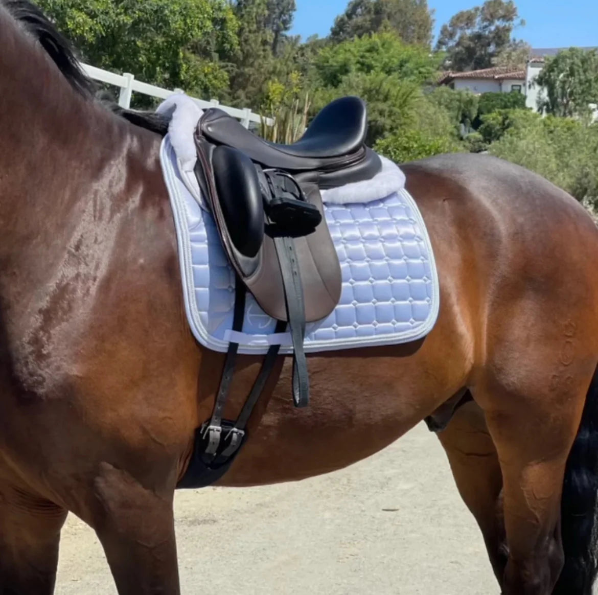 Halter Ego Satin Classic Saddle Pad - Lavender Mist