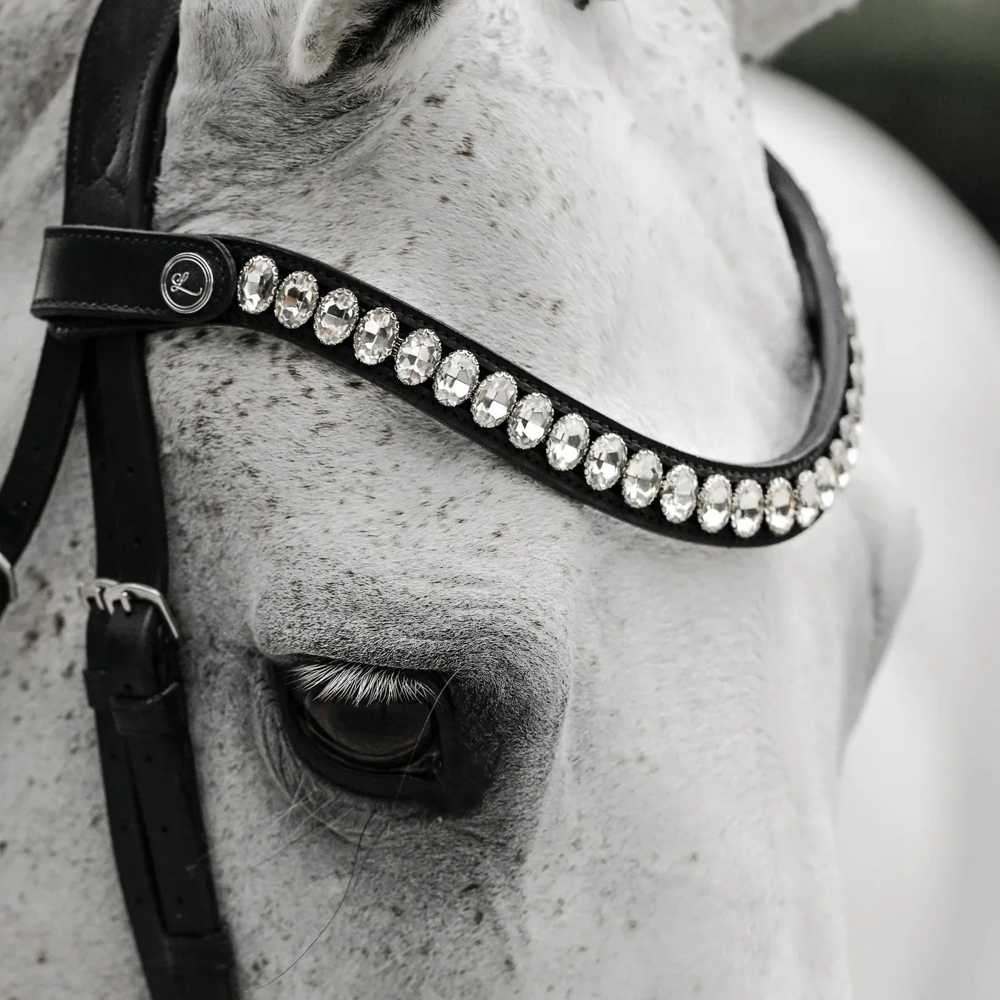 Lumiere Diva Double Bridle - Black - Cob