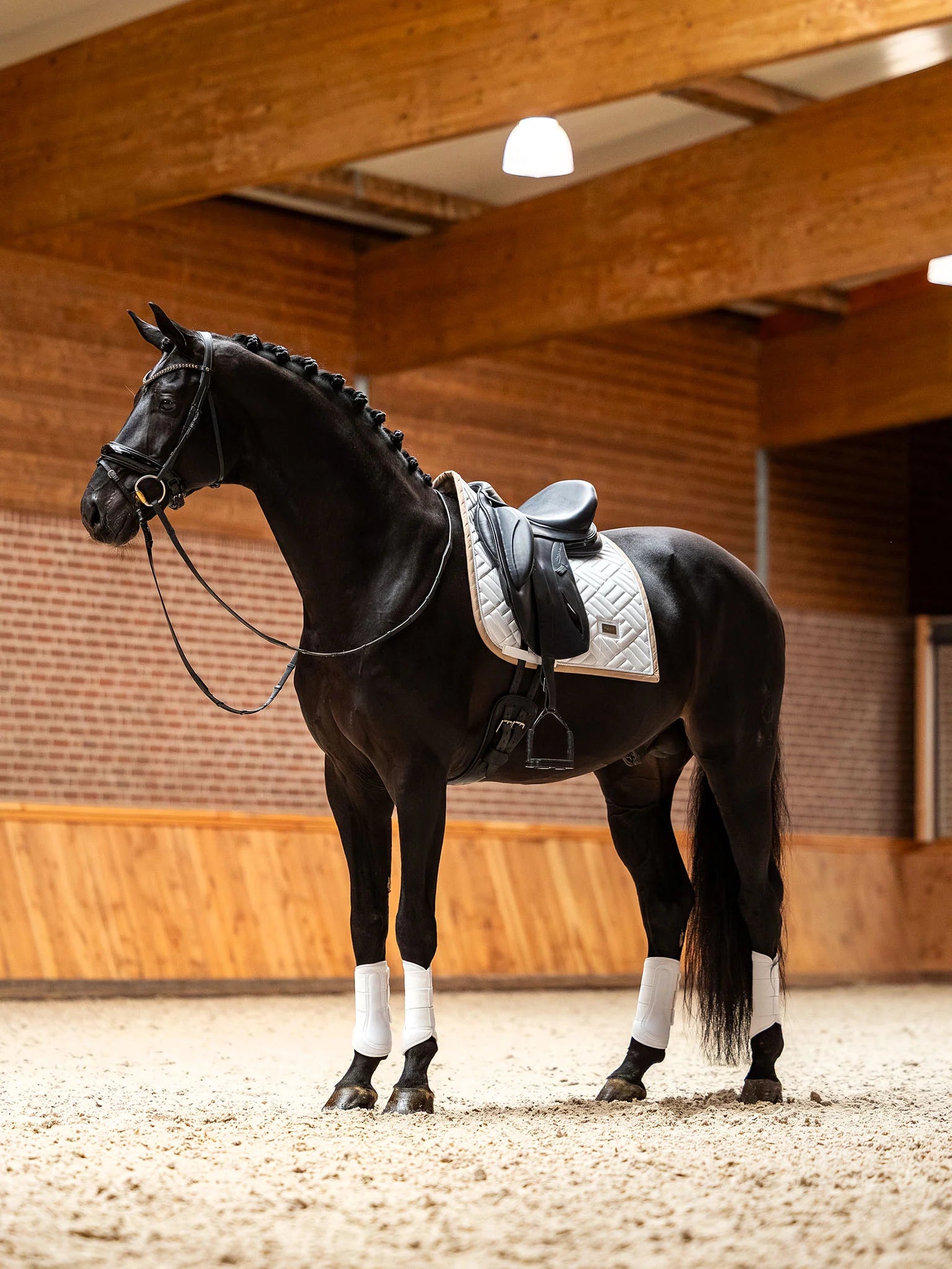 Equestrian Stockholm Classic Show Jacket - Sand