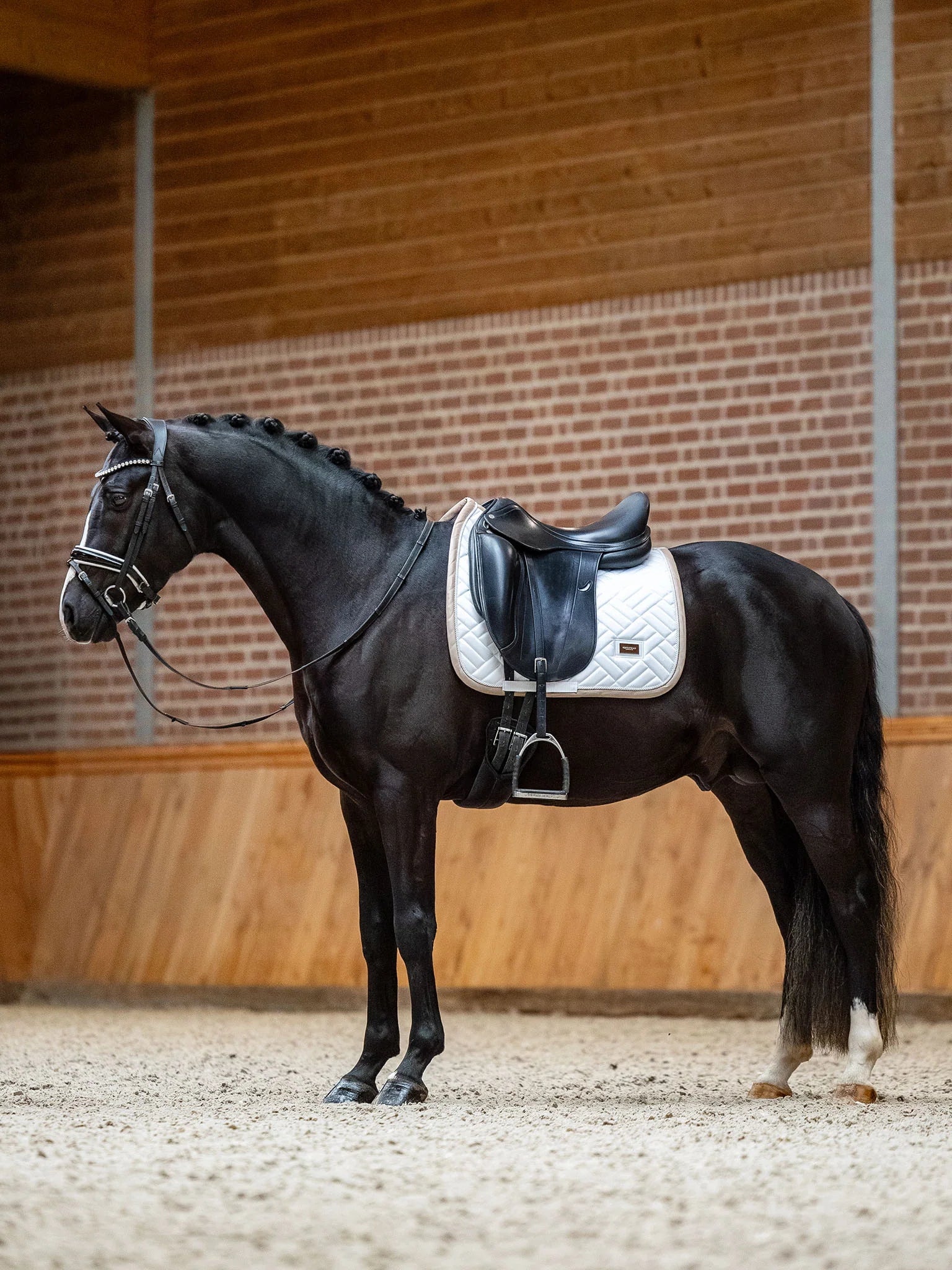 Equestrian Stockholm Classic Show Jacket - Sand