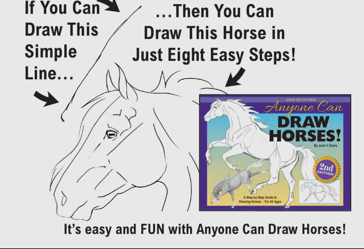 Anyone Can Draw Horses Art Book - Learn to Draw Horses
