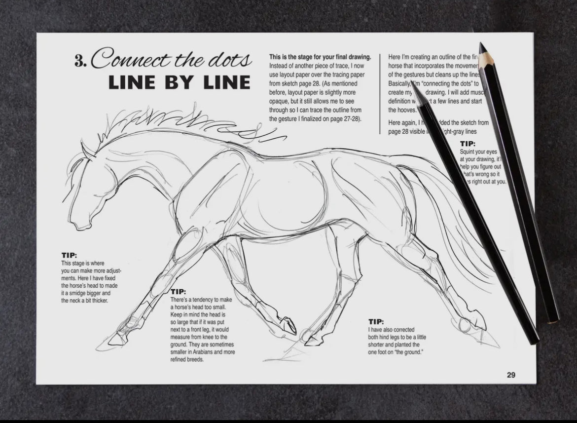 Anyone Can Draw Horses Art Book - Learn to Draw Horses