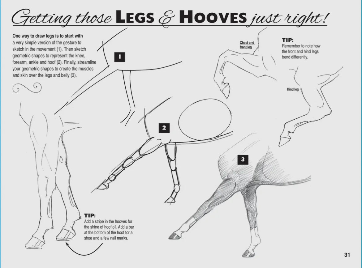 Anyone Can Draw Horses Art Book - Learn to Draw Horses