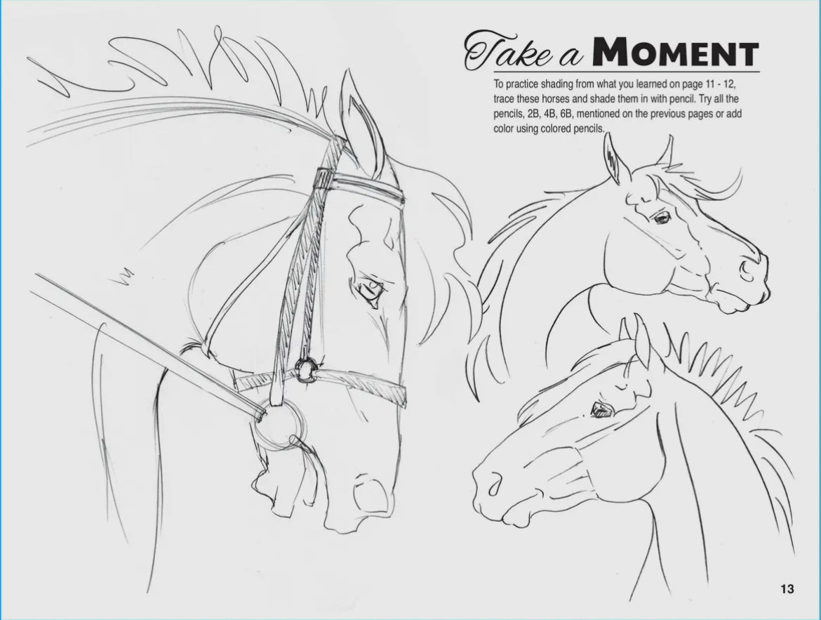 Anyone Can Draw Horses Art Book - Learn to Draw Horses