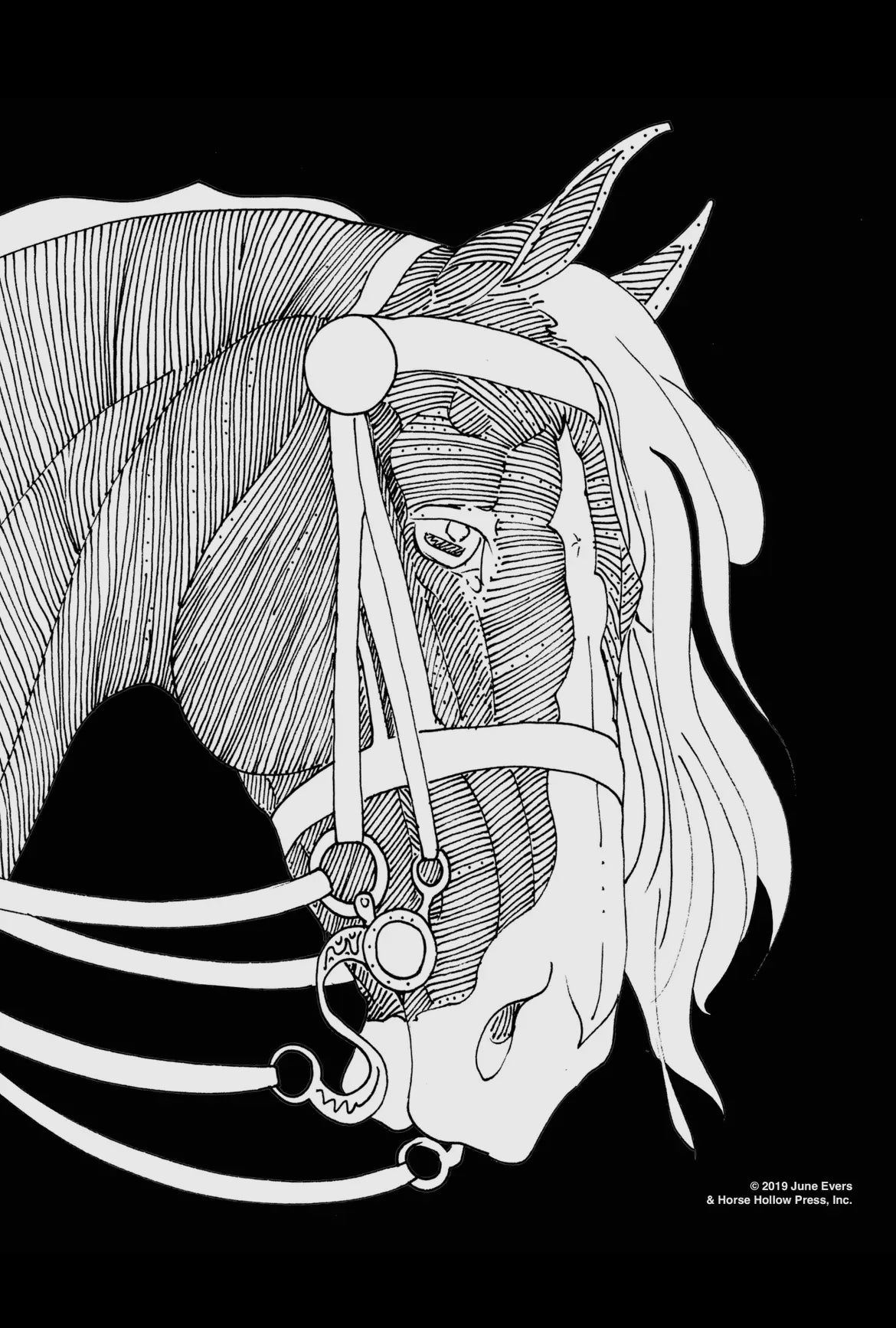 Pretty Horses Art Coloring Poster Kit