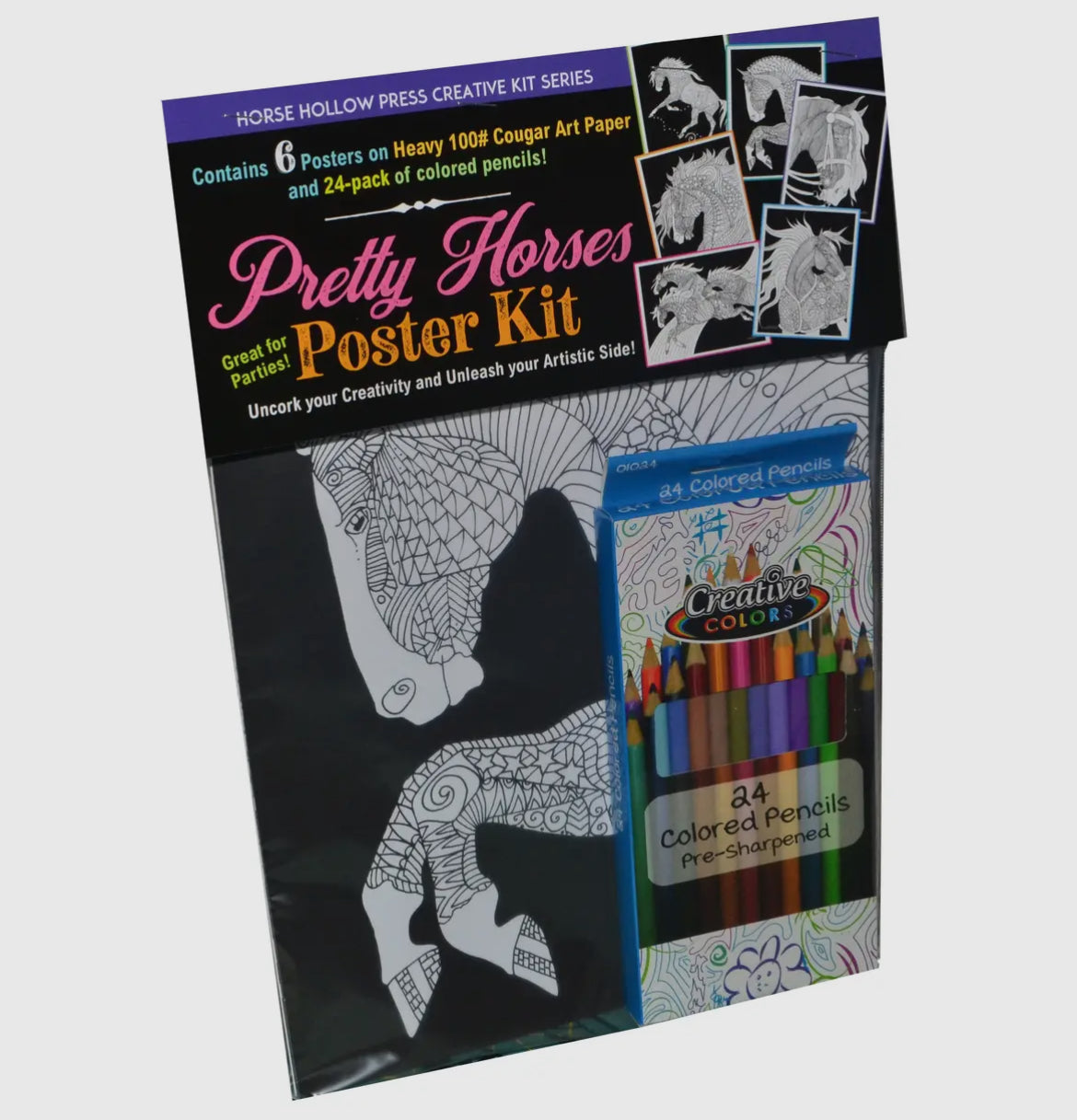 Pretty Horses Art Coloring Poster Kit