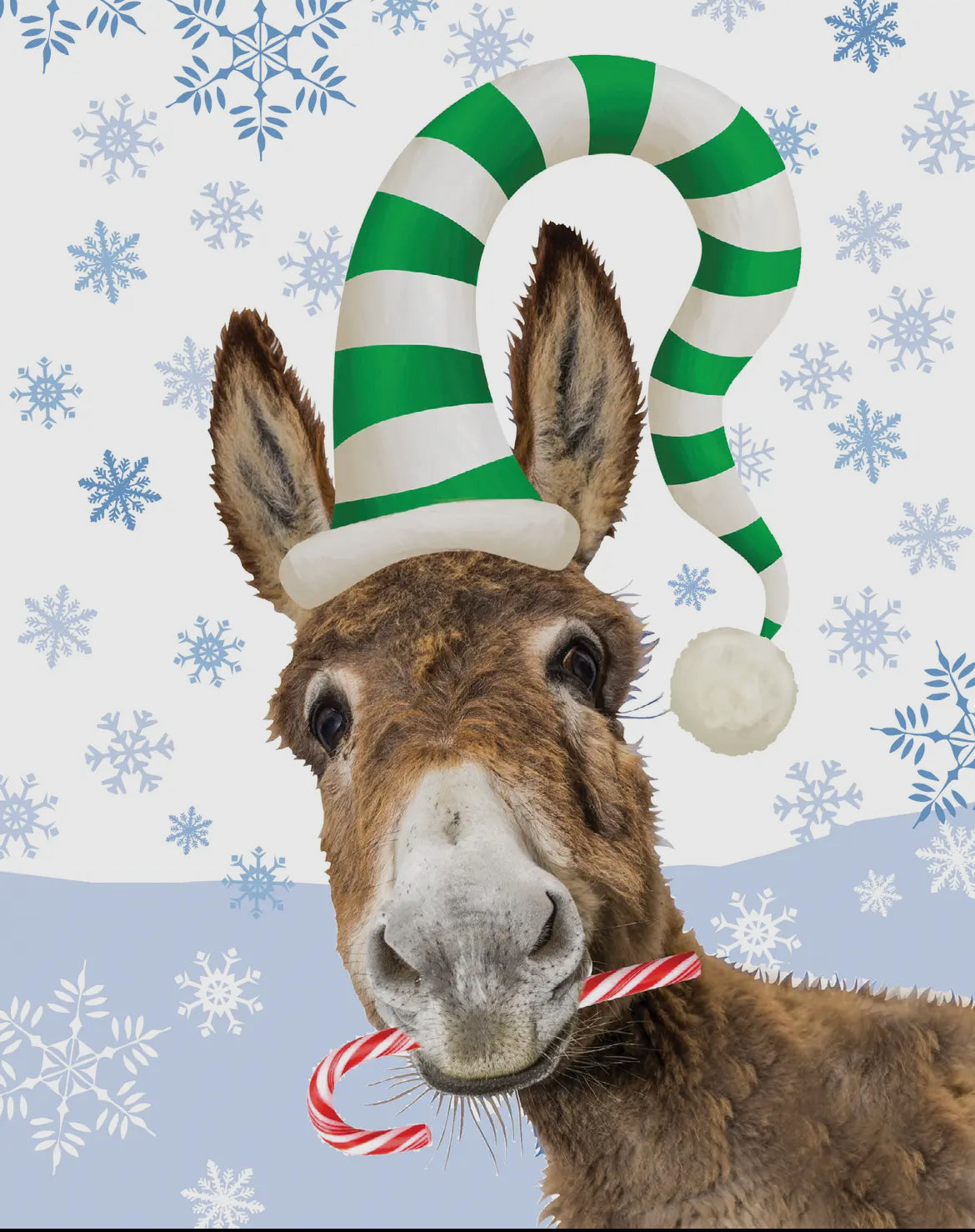 Donkey & Candy Cane Holiday Boxed Cards