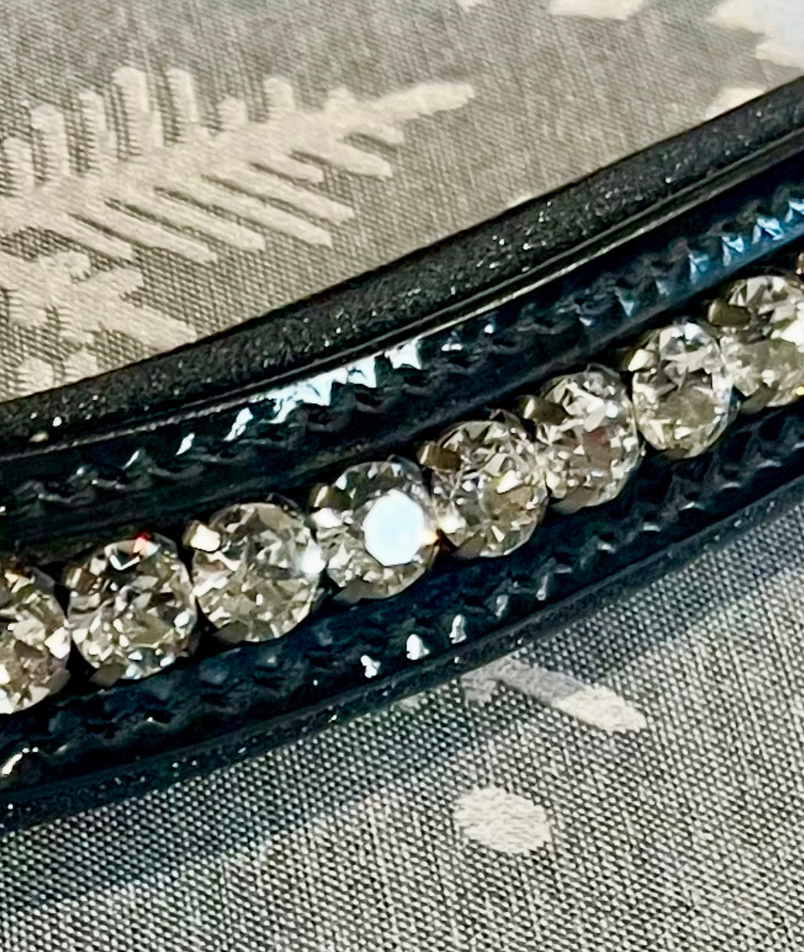 Halter Ego Celebrity Browband - Cob