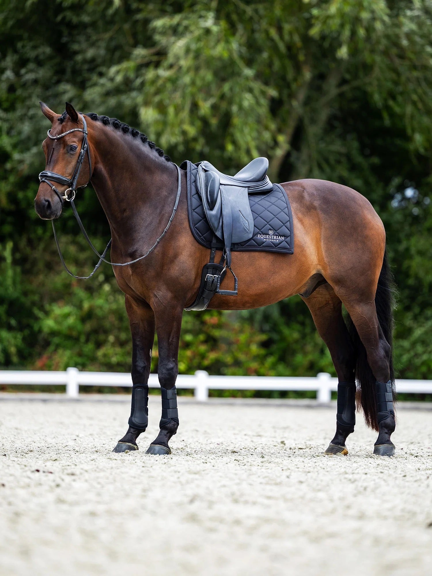 Equestrian Stockholm Line Pad - Black