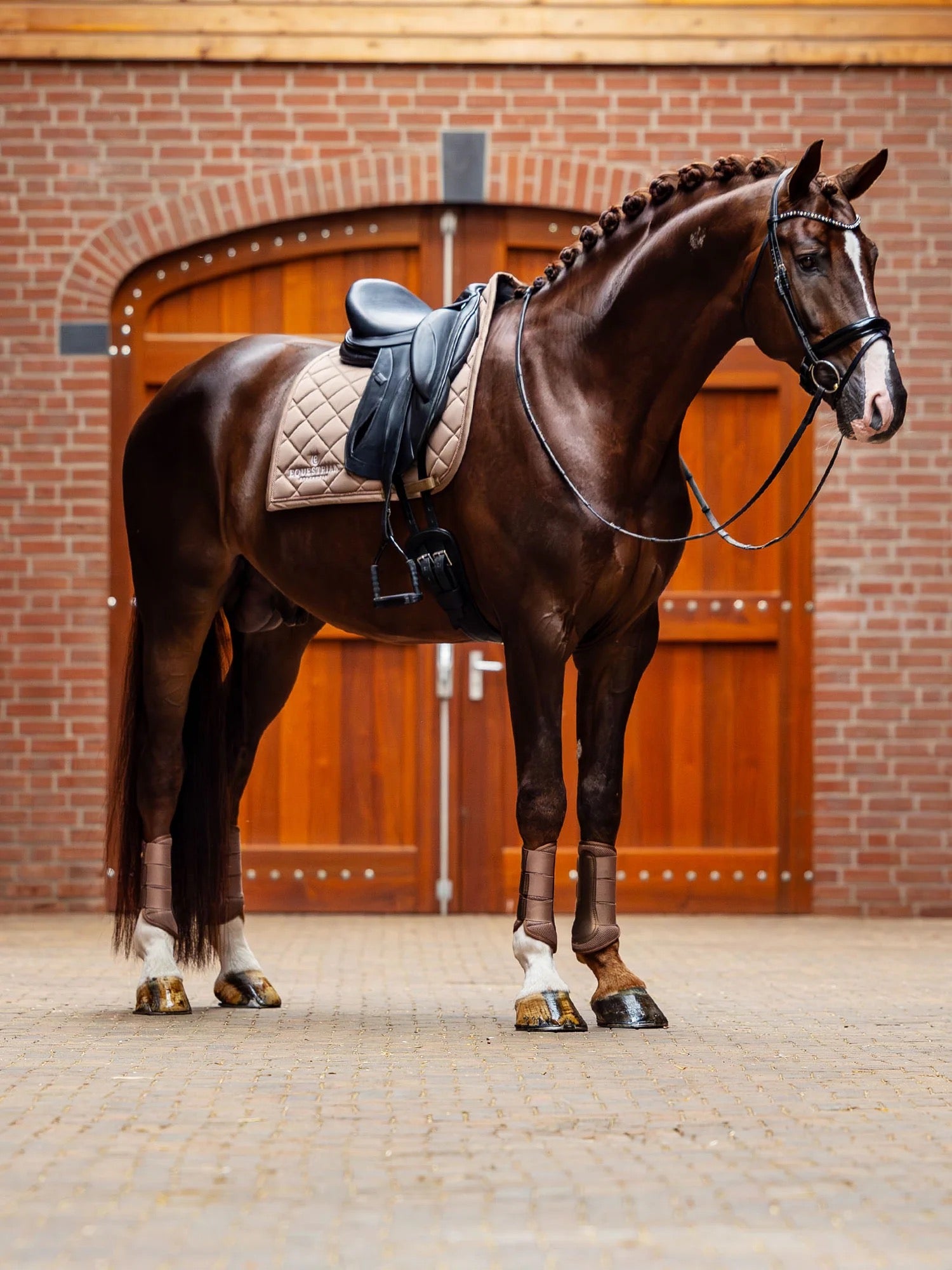 Equestrian Stockholm Line Pad - Champagne
