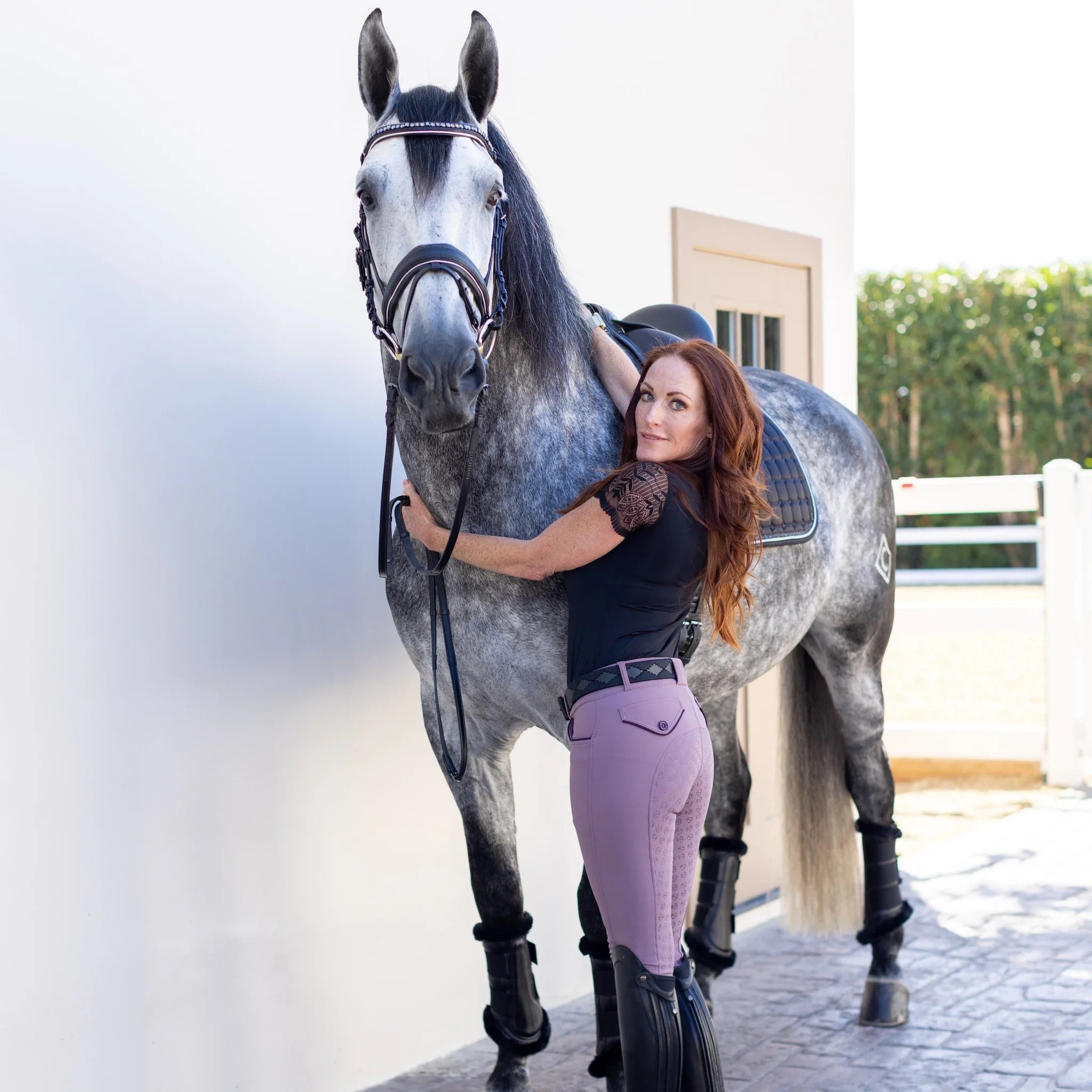 Halter Ego Evolution Full Seat Breeches - French Lilac-Mid Rise