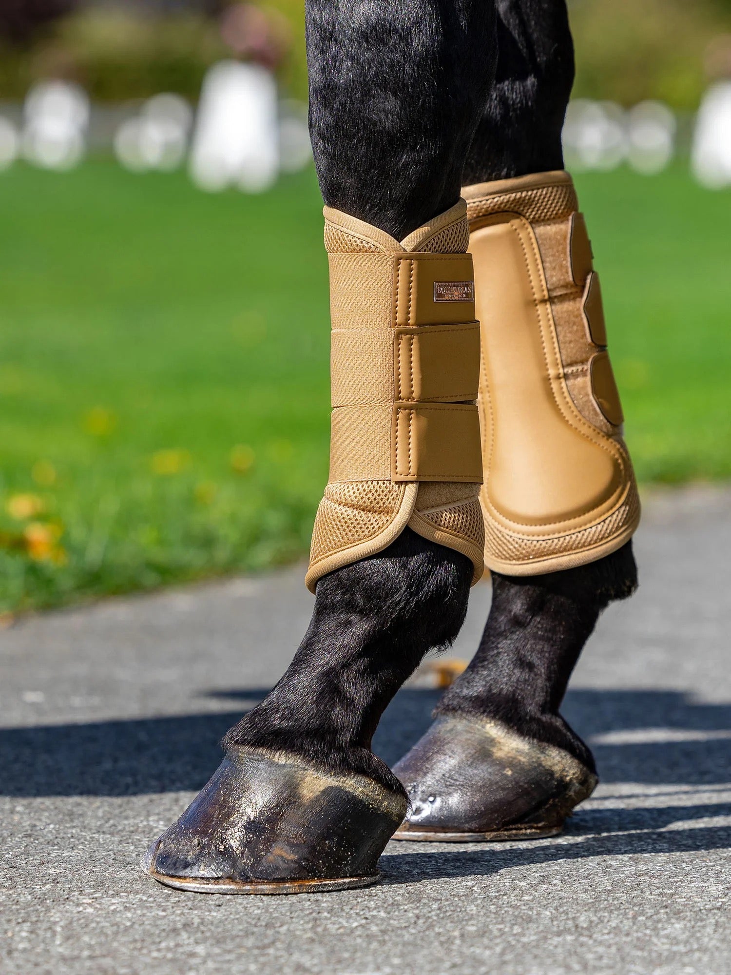 Equestrian Stockholm Mesh Brushing Boots - Midsummer Glow
