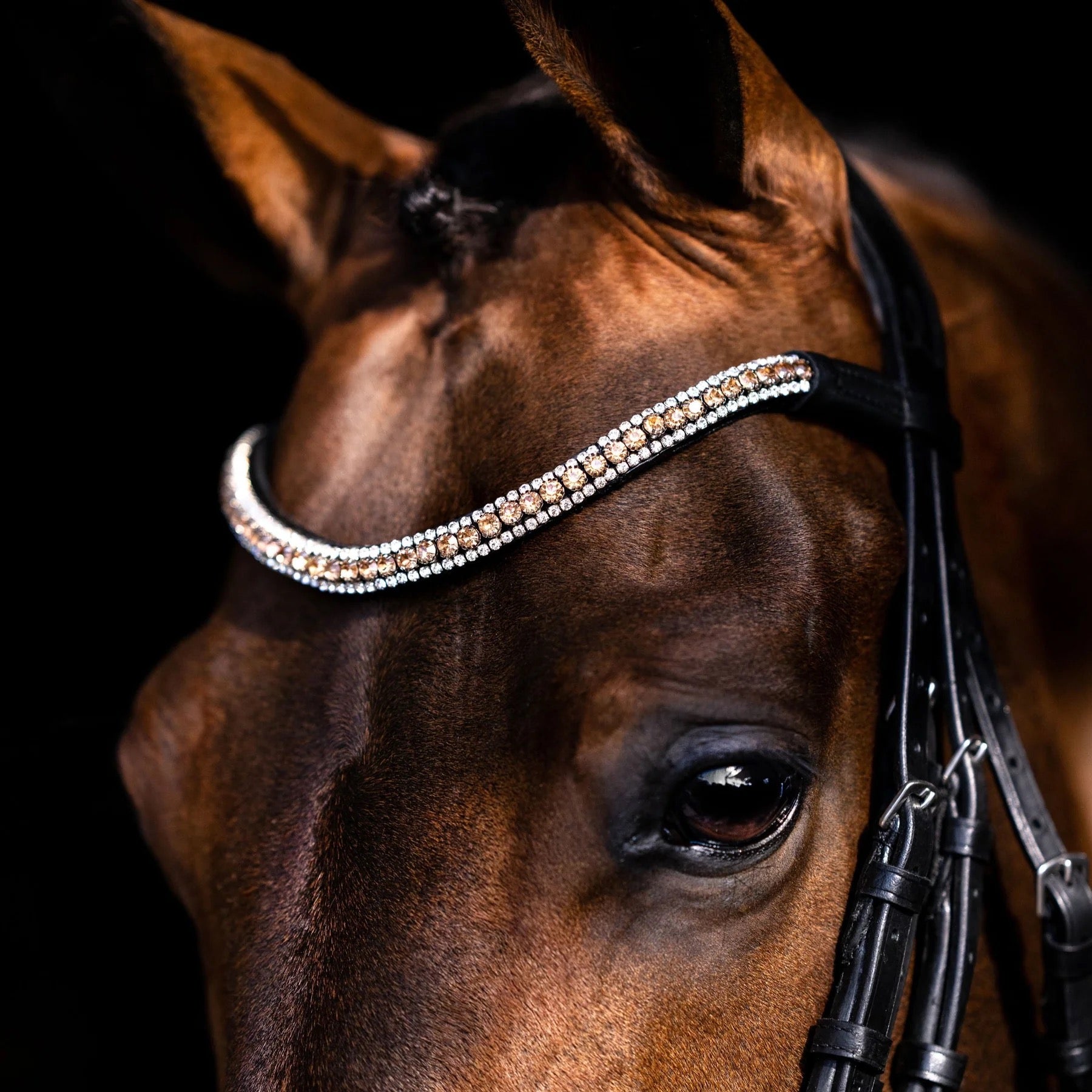 Lumiere Madeline Double Bridle - Cob