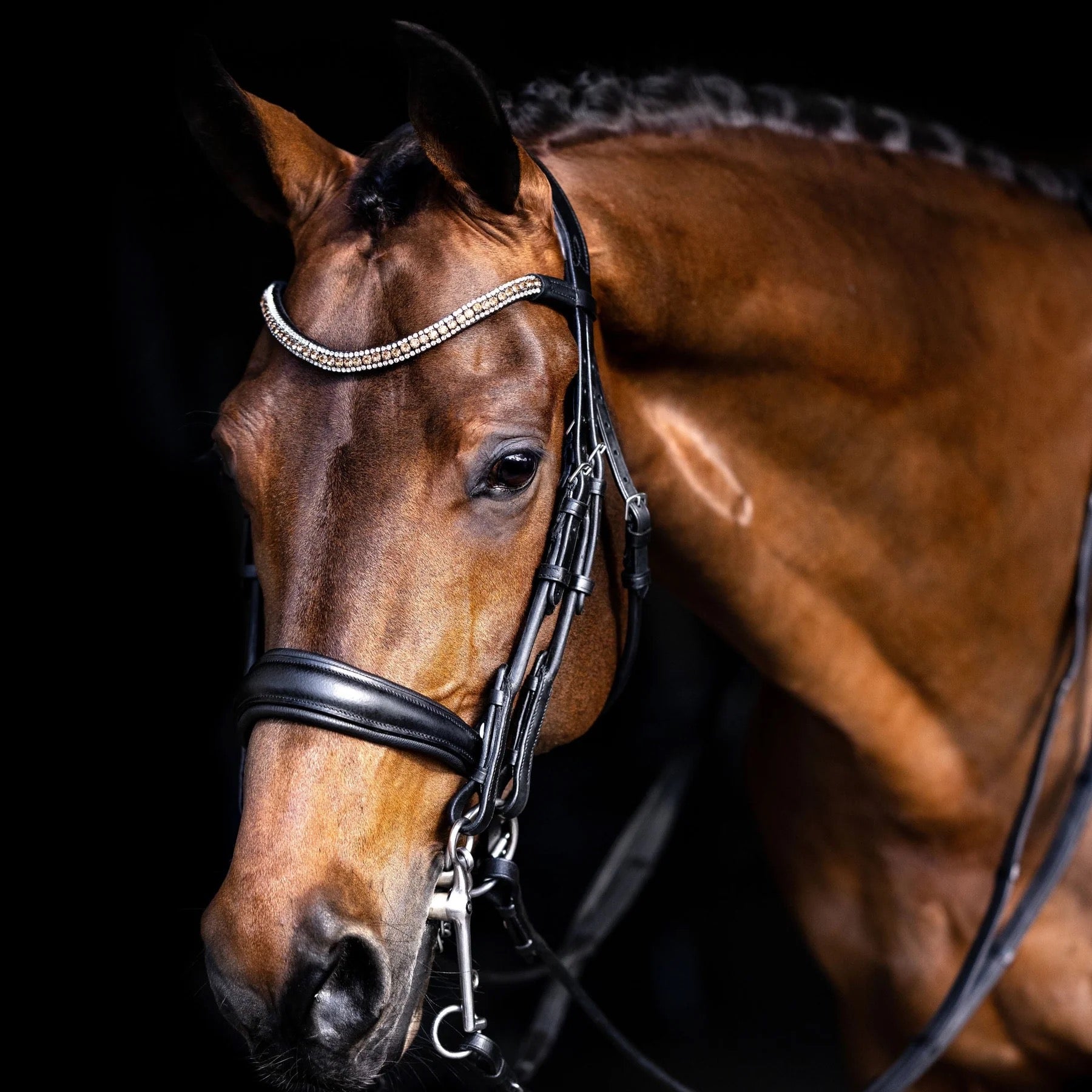 Lumiere Madeline Double Bridle - Cob
