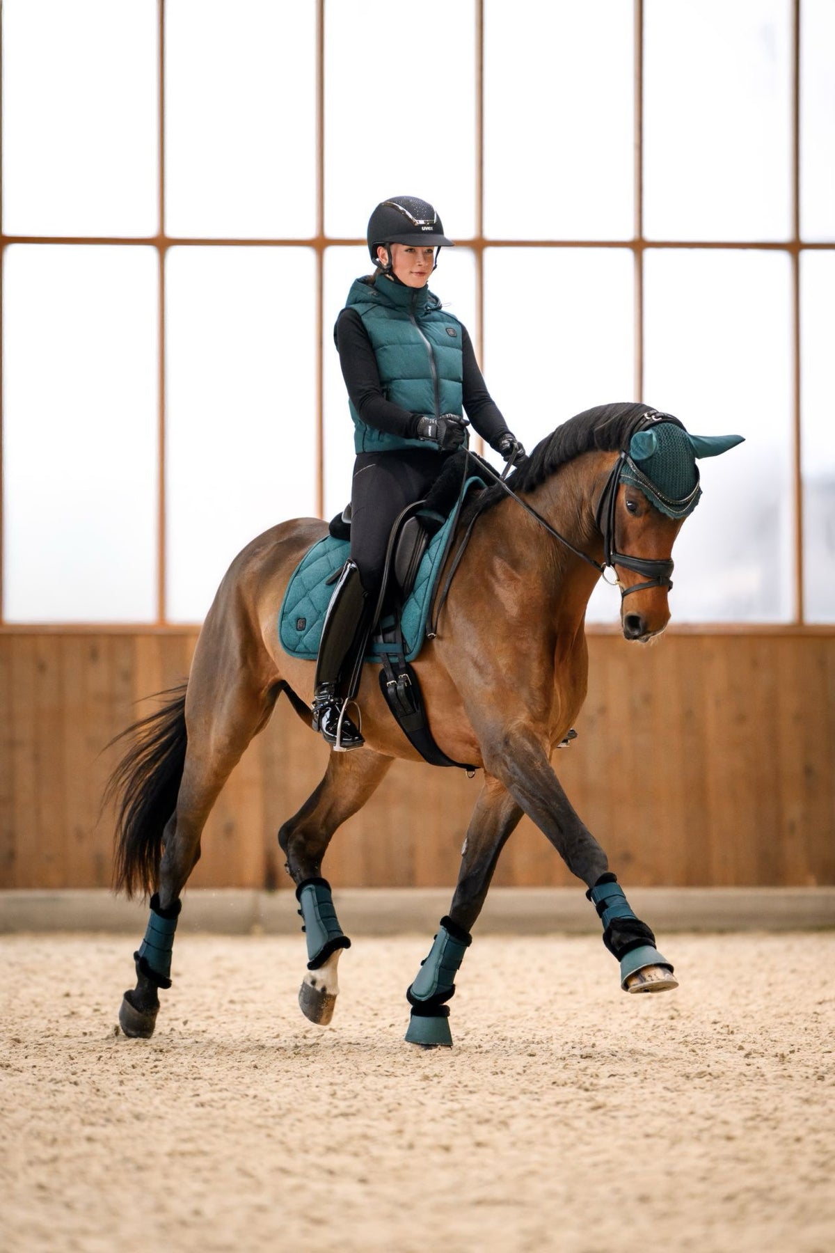 Cavallo CavalJoca Brushing Boots - Dark Peacock