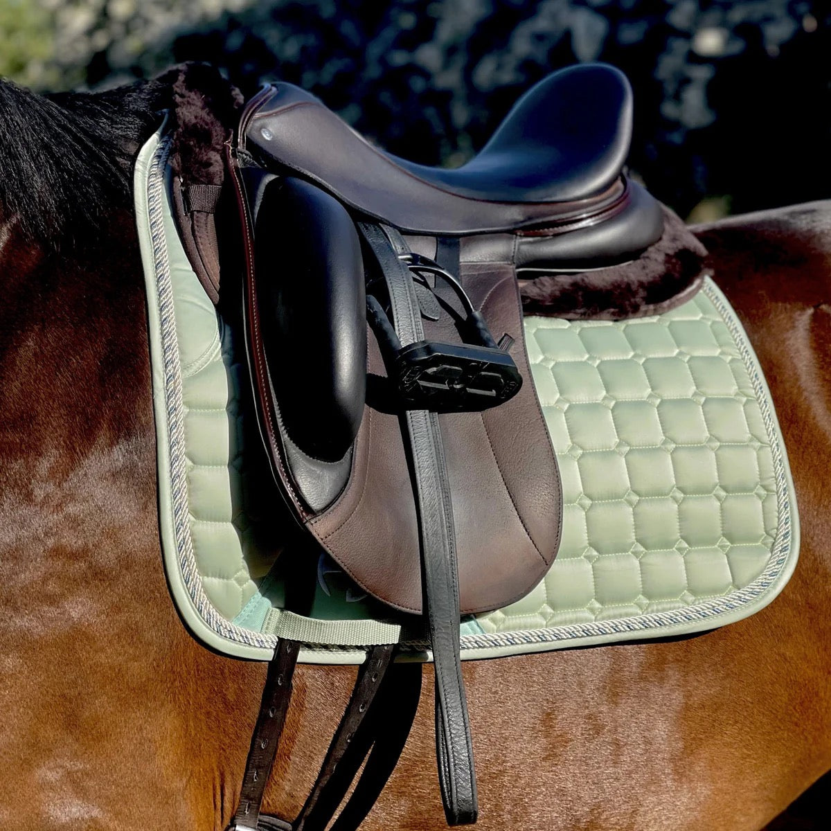 Halter Ego Satin Classic Saddle Pad - Mint Sorbet