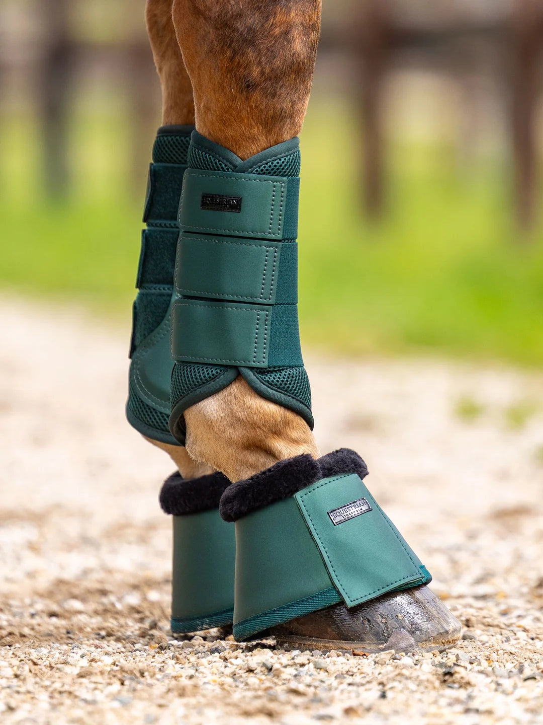Equestrian Stockholm Bell Boots - Sycamore Green