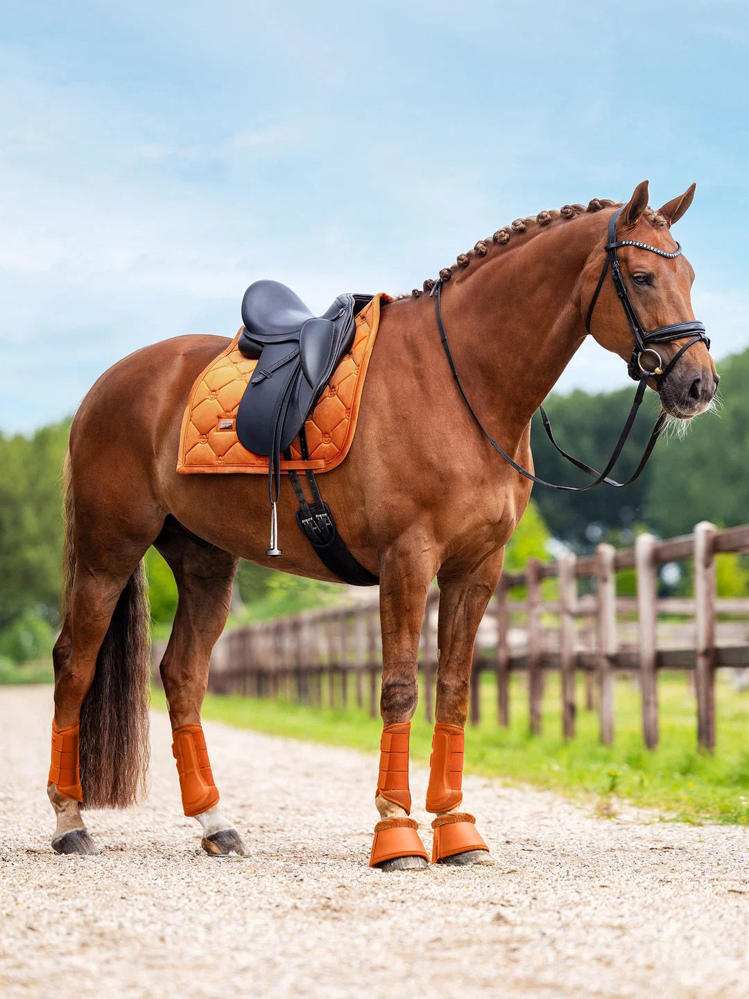 Equestrian Stockholm Velvet Pad - Chestnut